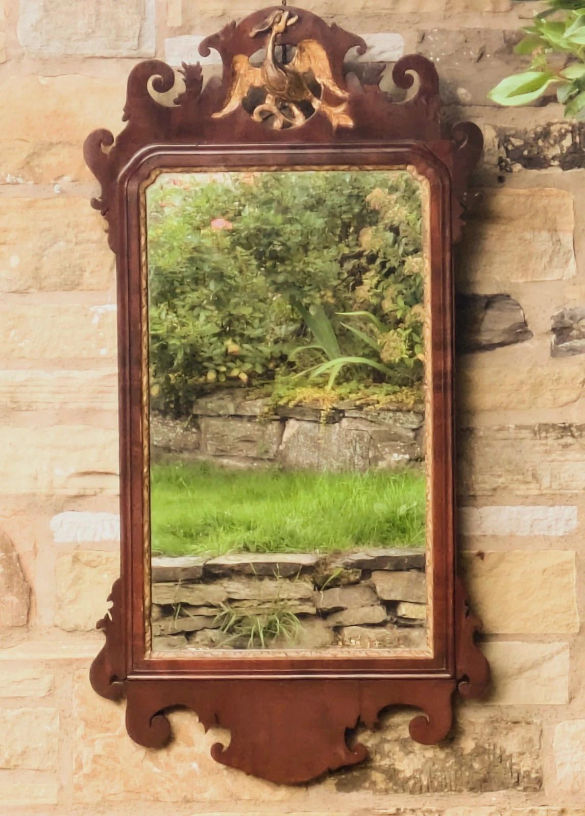 Antique Regency Pier Glass Mirror Ho Ho Bird (1 of 5)