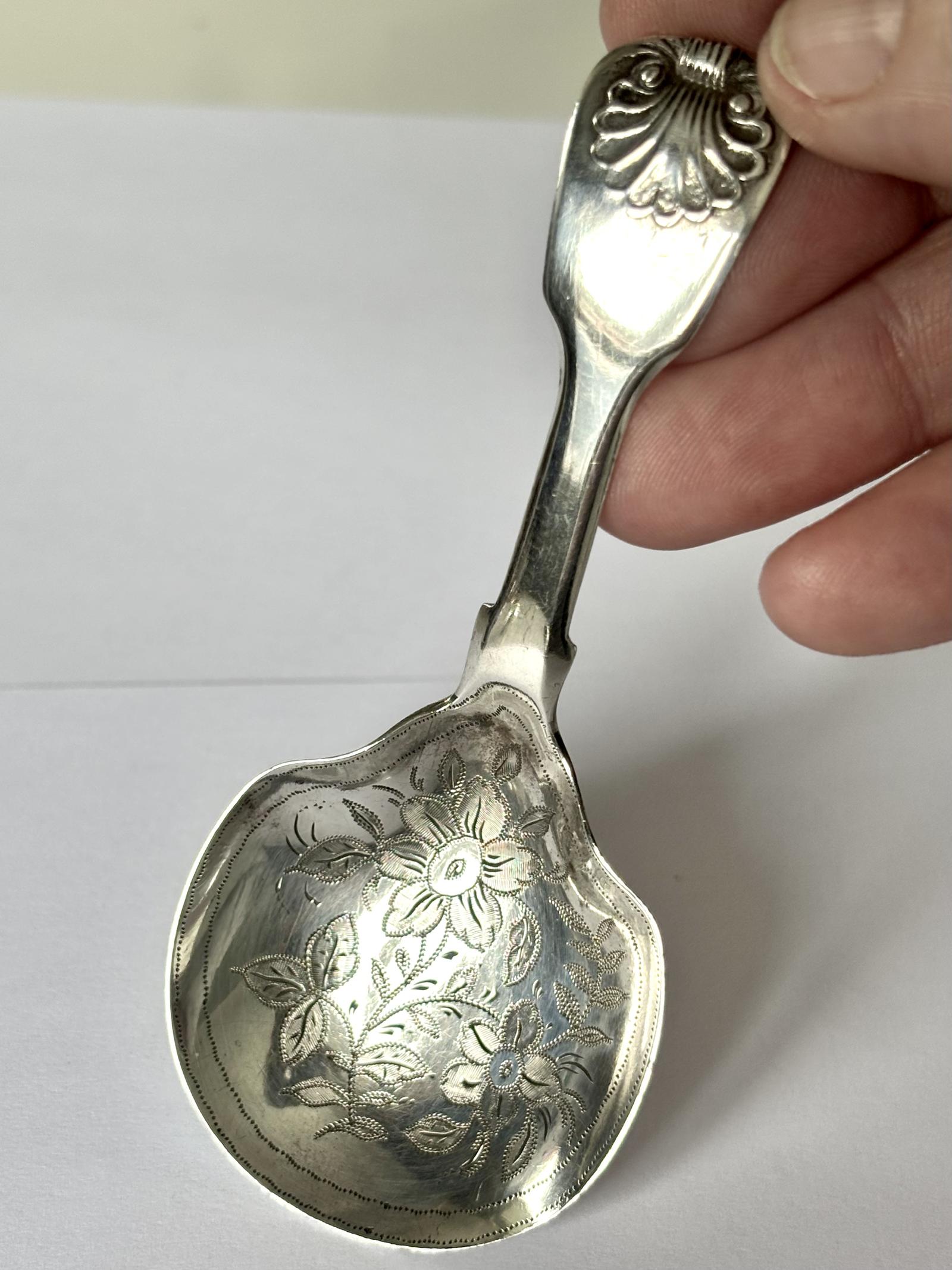Georgian Silver Tea Caddy Spoon - main image