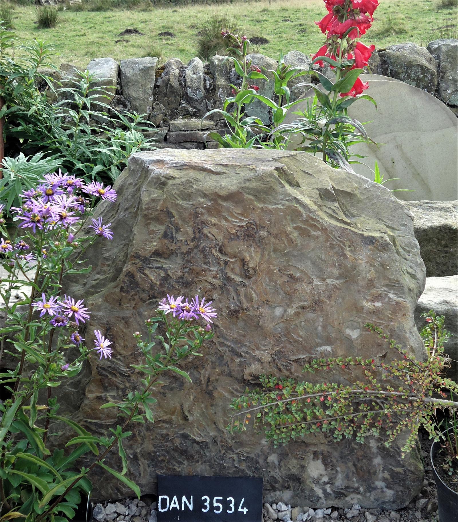 York Stoop Stone (1 of 1) York Stoop Stone (1 of 1)