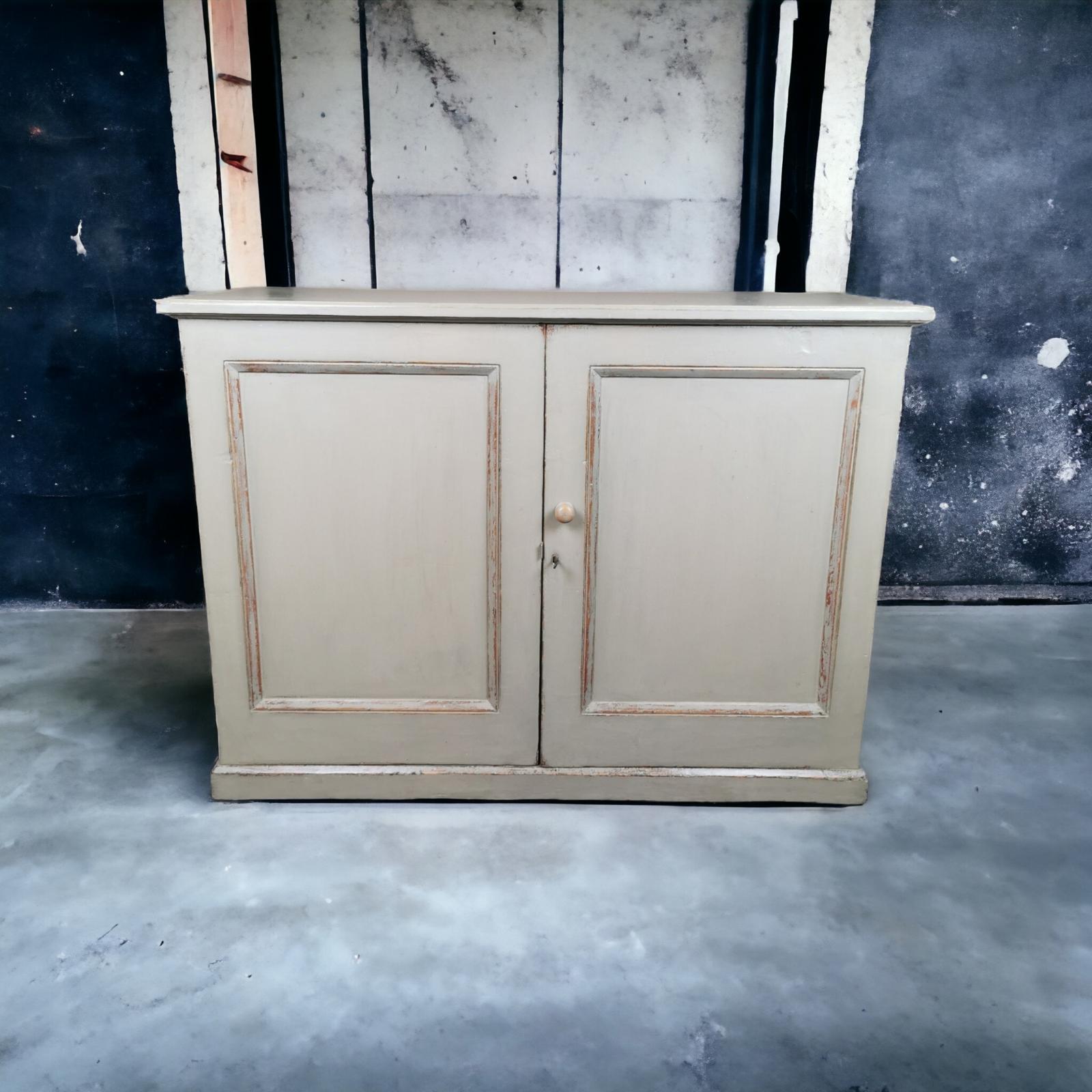 Mid 19th Century Painted Pine Two Door Cupboard (1 of 1)