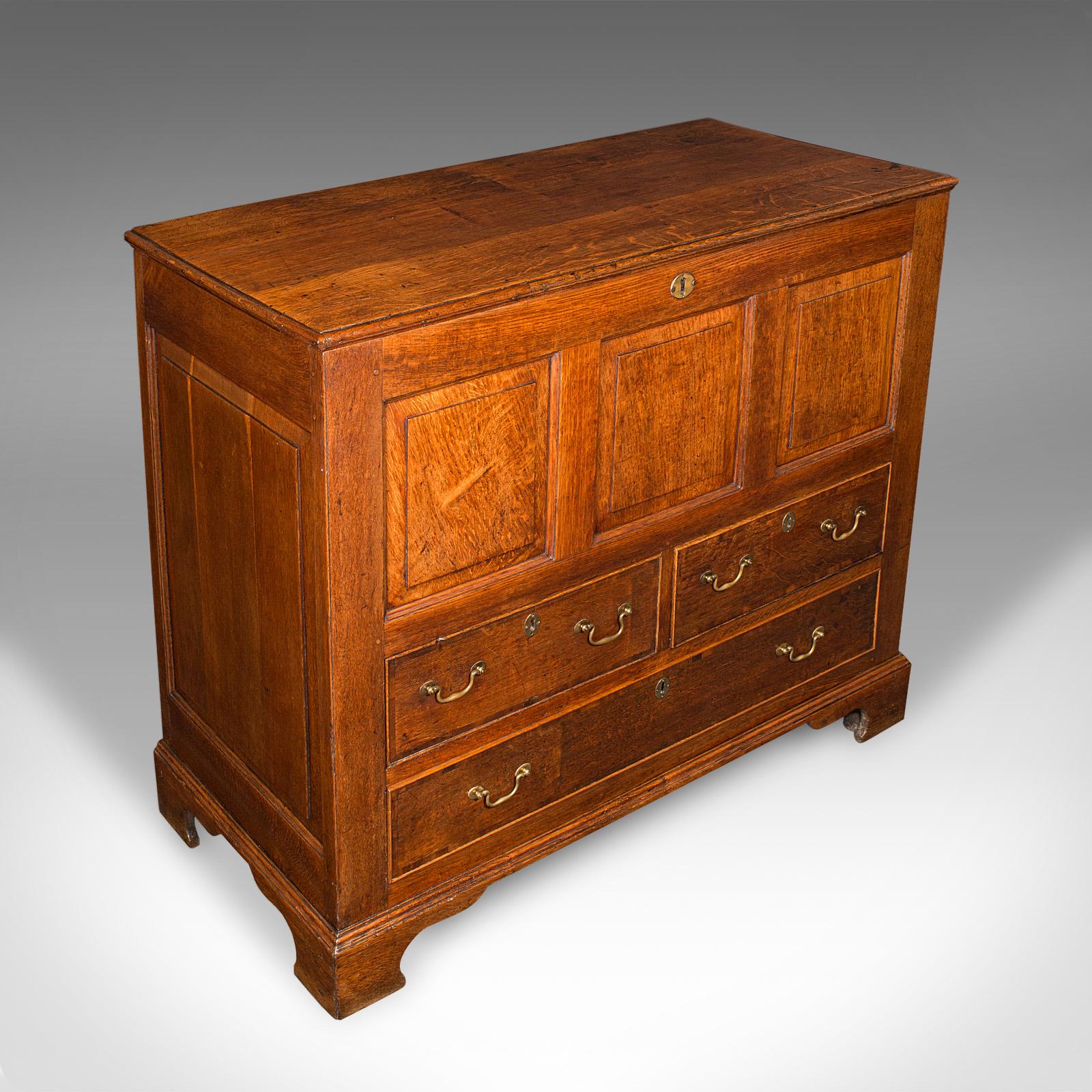 Large Antique Mule Chest, Georgian, Oak, Coffer Over Three Drawers c.1780 (1 of 12)