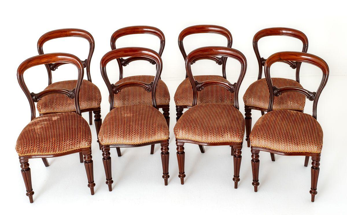 Set of 8 Early Victorian Mahogany Balloon Back Dining Chairs (1 of 8)