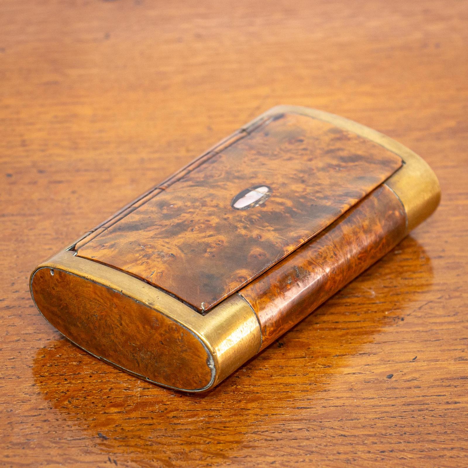 Unusual Large 19th Century Pocket Snuff Box (1 of 10)
