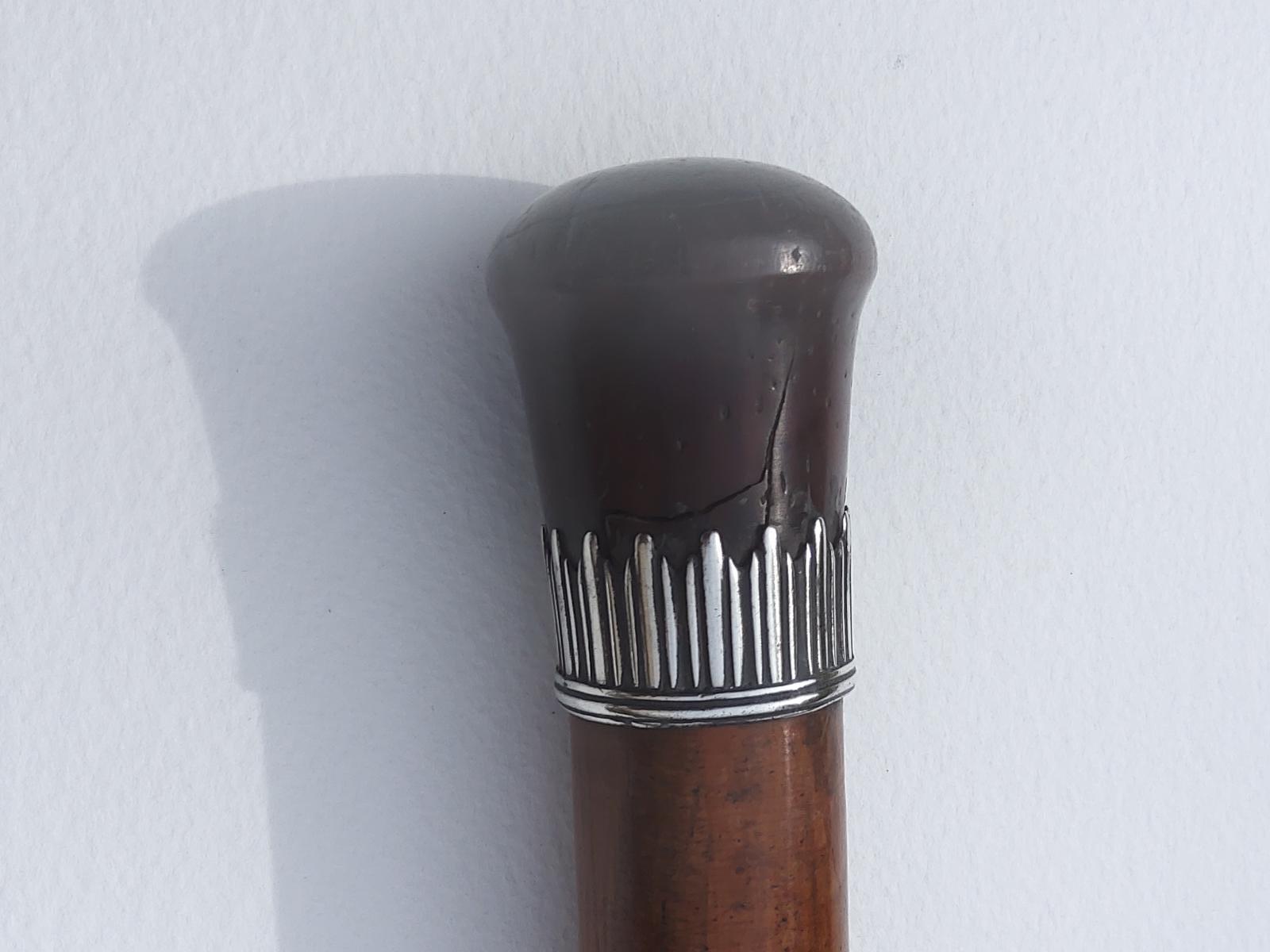 Walking Cane with a Baleen Handle Mounted on White Metal (1 of 4)