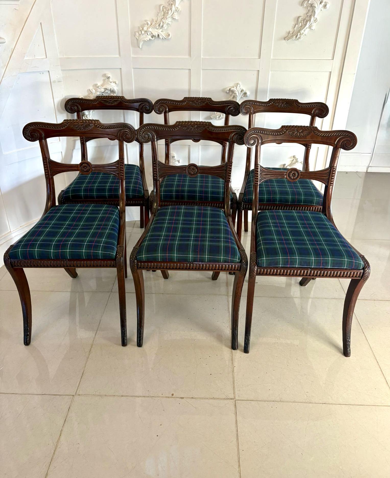 19th Century Dining Chairs - main image