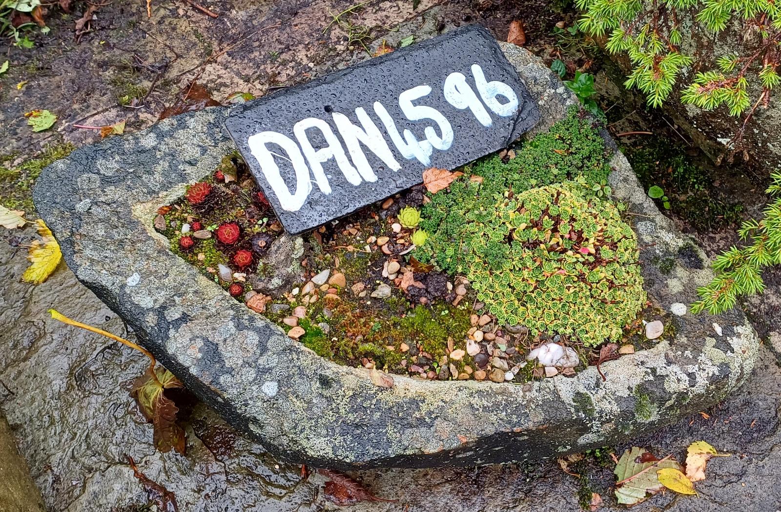 Old Yorkshire Stone Trough (1 of 1)