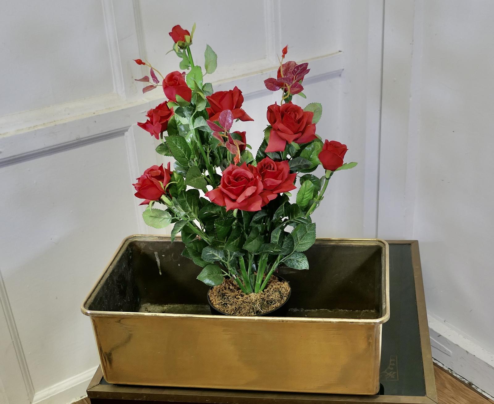 Heavy Quality Brass Planter (1 of 6)