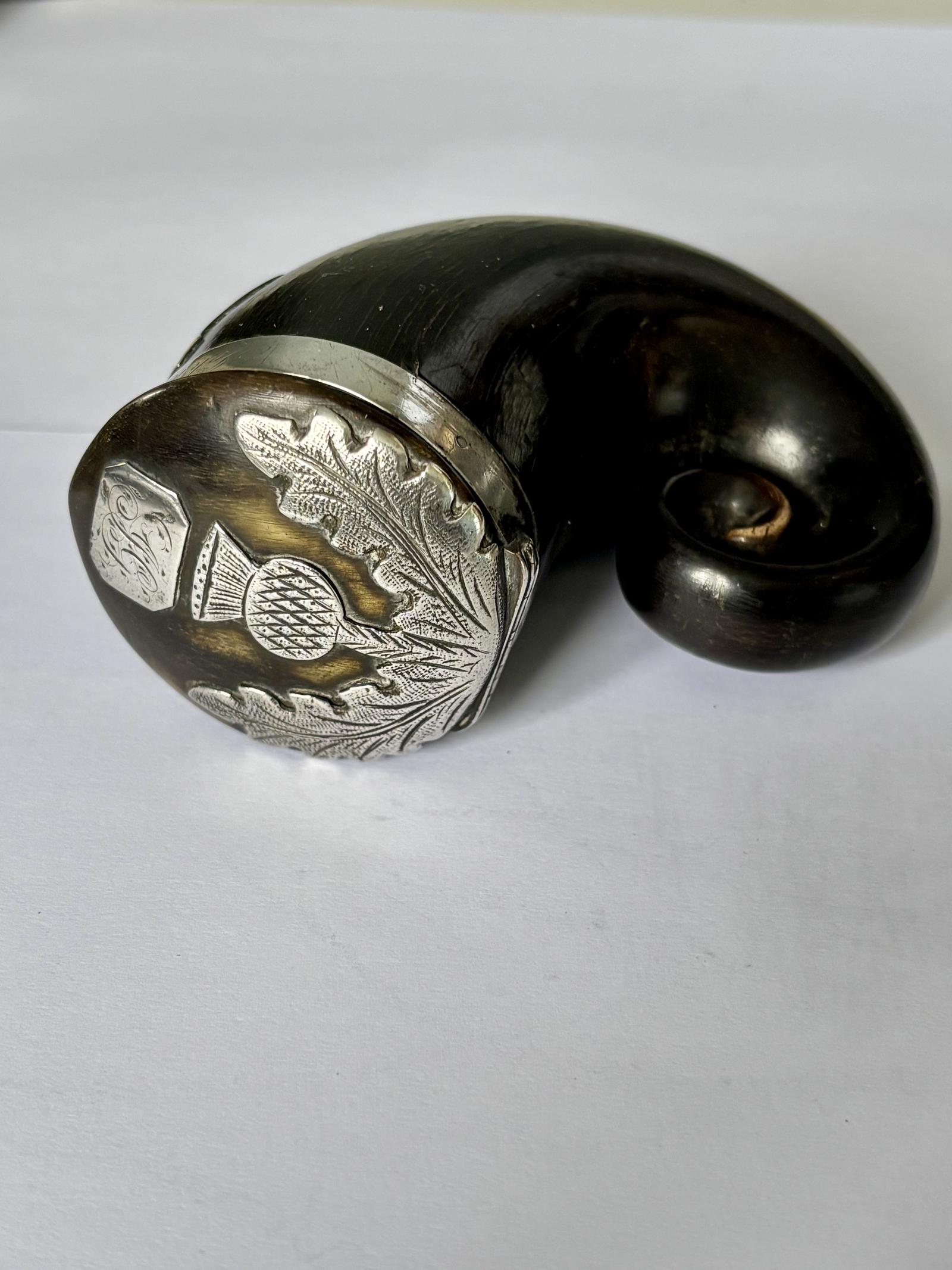 Antique Scottish Silver Mounted Rams Horn Snuff Mull Thistle Design (1 of 13) Antique Scottish Silver Mounted Rams Horn Snuff Mull Thistle Design (1 of 13)