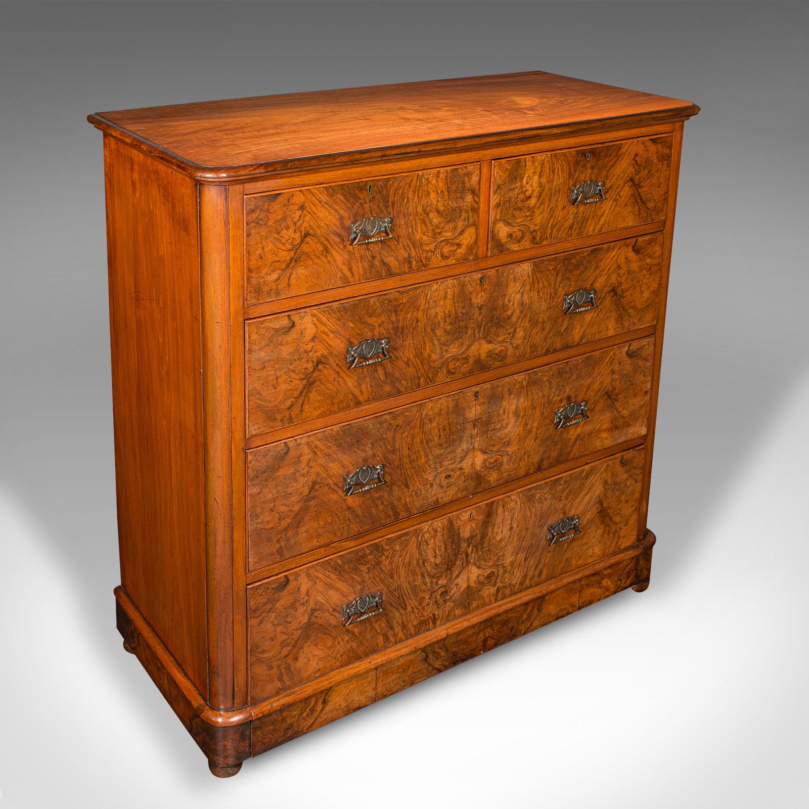 Large Antique Gentleman's Tallboy, English, Walnut, Chest of Drawers - Victorian c.1850 (1 of 12) Large Antique Gentleman's Tallboy, English, Walnut, Chest of Drawers - Victorian c.1850 (1 of 12)