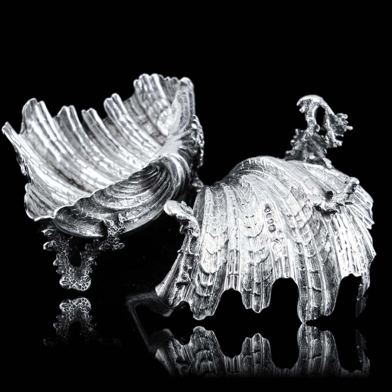 Antique Victorian Solid Silver Salt/butter Dish Pair, Cast Shell Giant Clam Design - Stephen Smith 1866 (1 of 21)