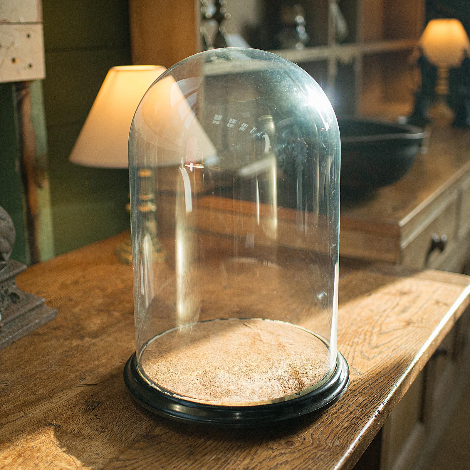 Large Antique Taxidermy Dome, English, Display Showcase, Late Victorian c.1880 (1 of 9)