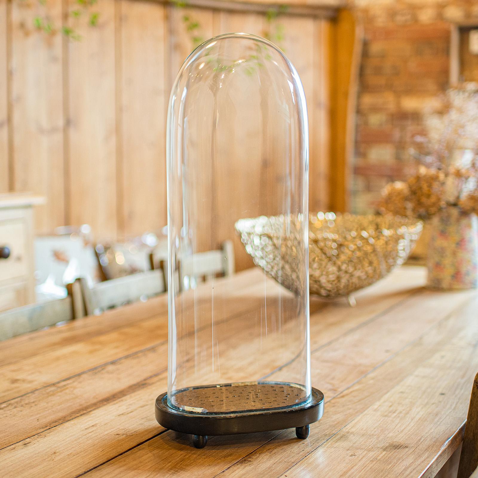 Oval Antique Diorama Dome, English, Collector, Taxidermy Display Case - Victorian (1 of 9)