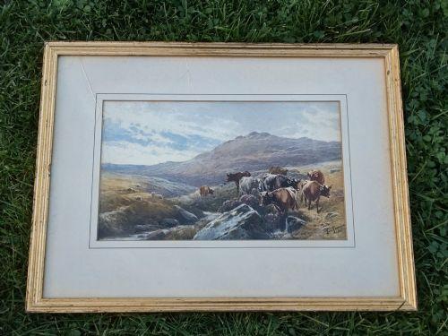 Thomas Rowden Cattle & Sheep Watercolour (1 of 9) Thomas Rowden Cattle & Sheep Watercolour (1 of 9)