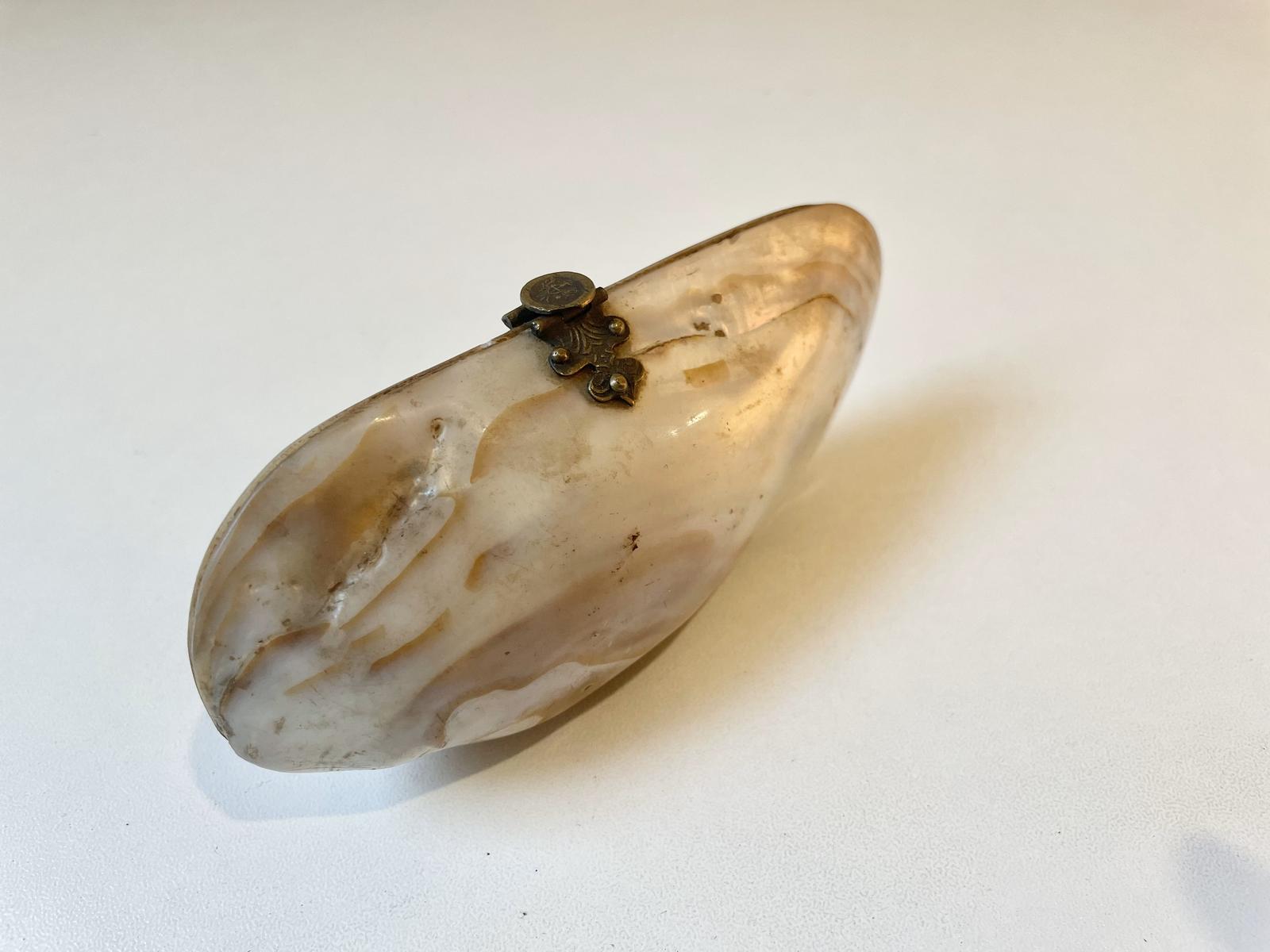 Unusual 19th Century Shell Purse (1 of 7)