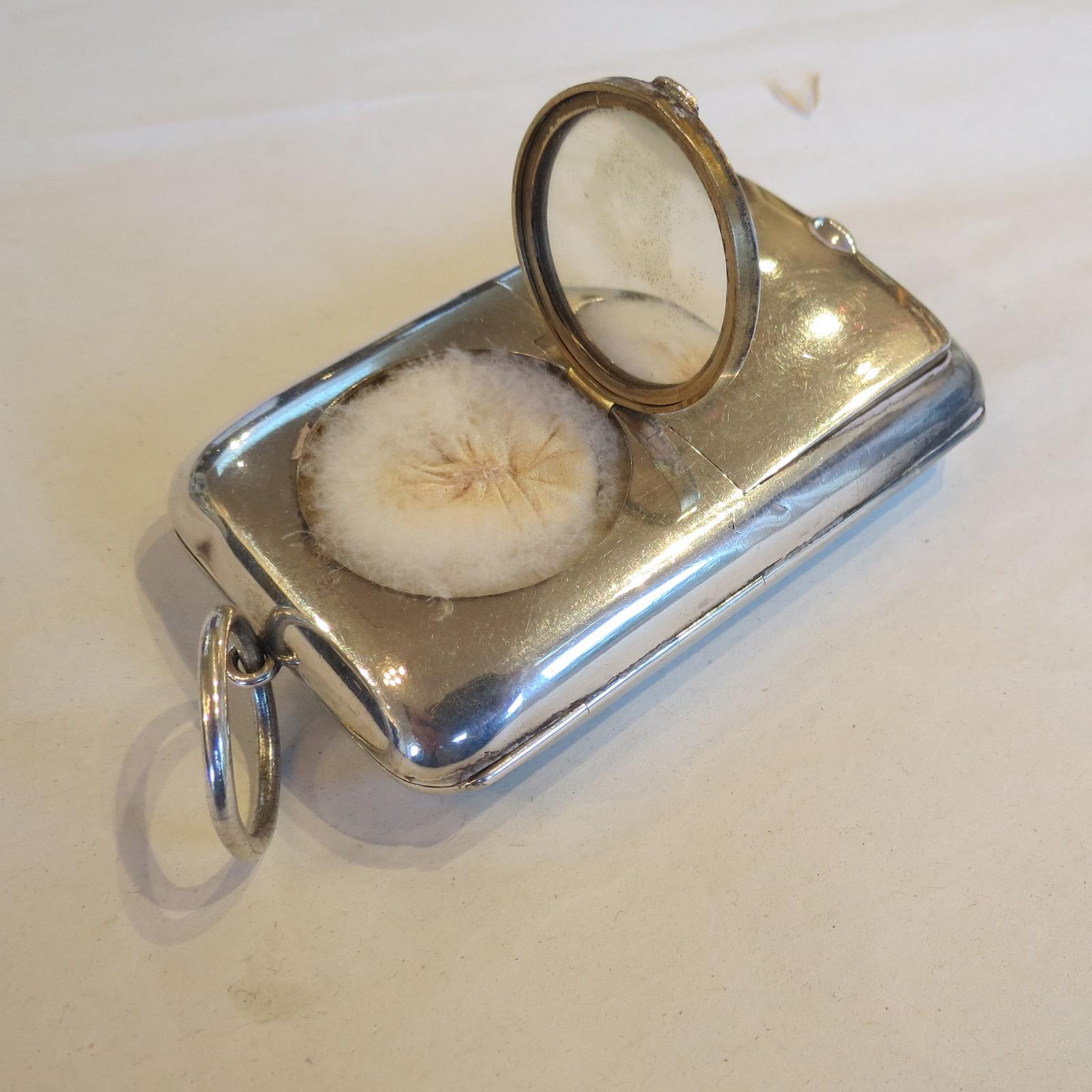 Unusual Edwardian Silver Lady's Compendium (1 of 8)