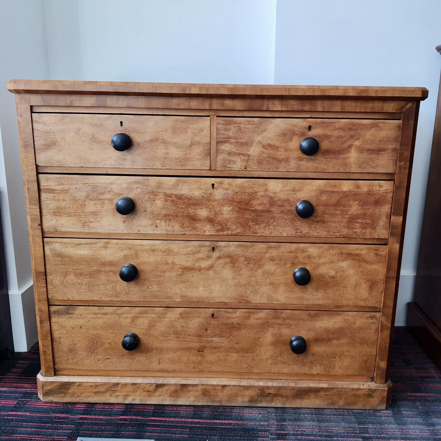 19th Century Satin Birch Chest of Drawers (1 of 8)