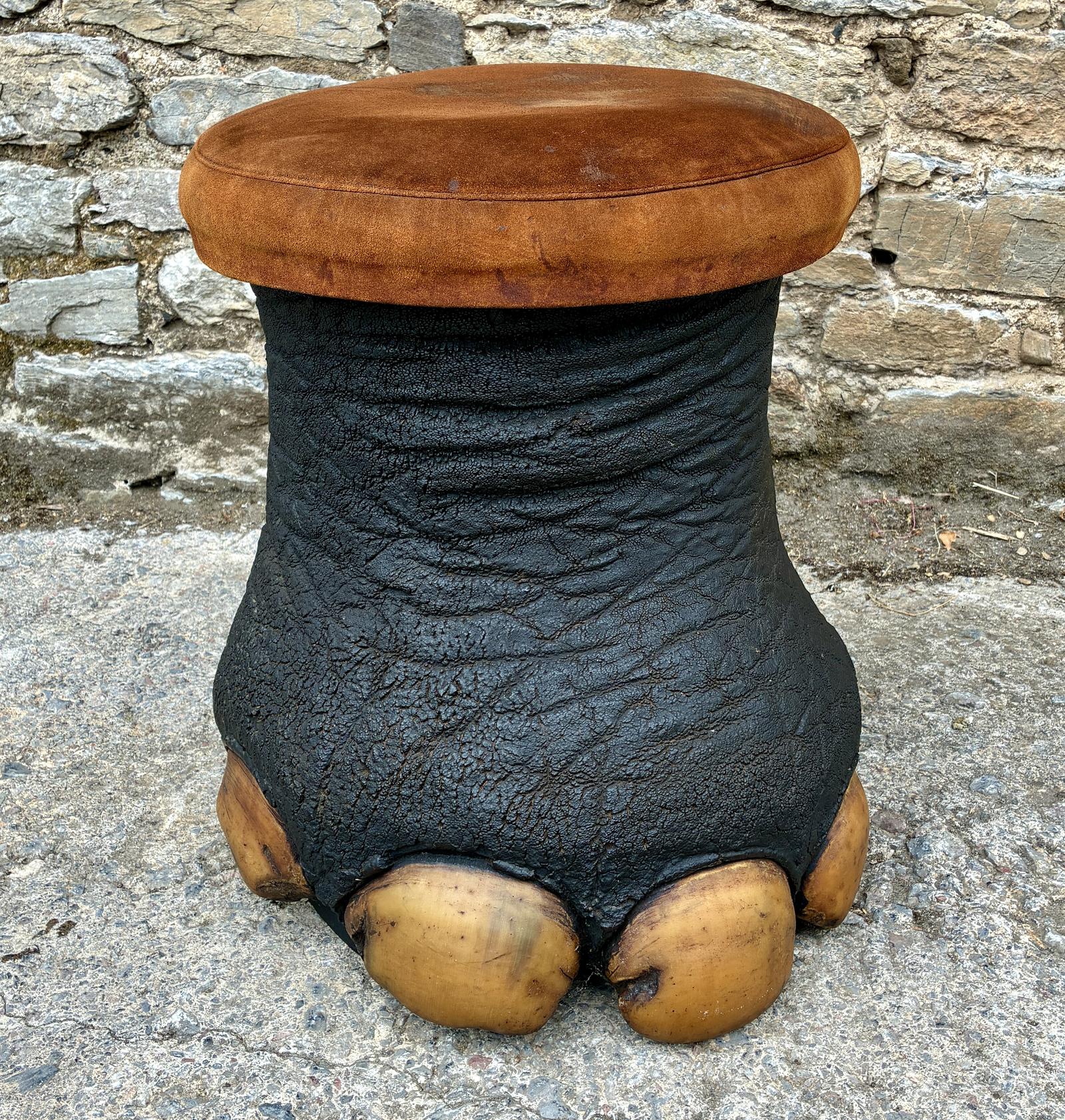 Antique Taxidermy Elephant Foot Stool (1 of 11) Antique Taxidermy Elephant Foot Stool (1 of 11)