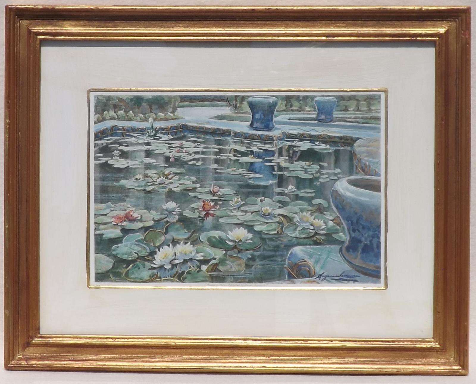 Print of Water Lilies (1 of 1) Print of Water Lilies (1 of 1)