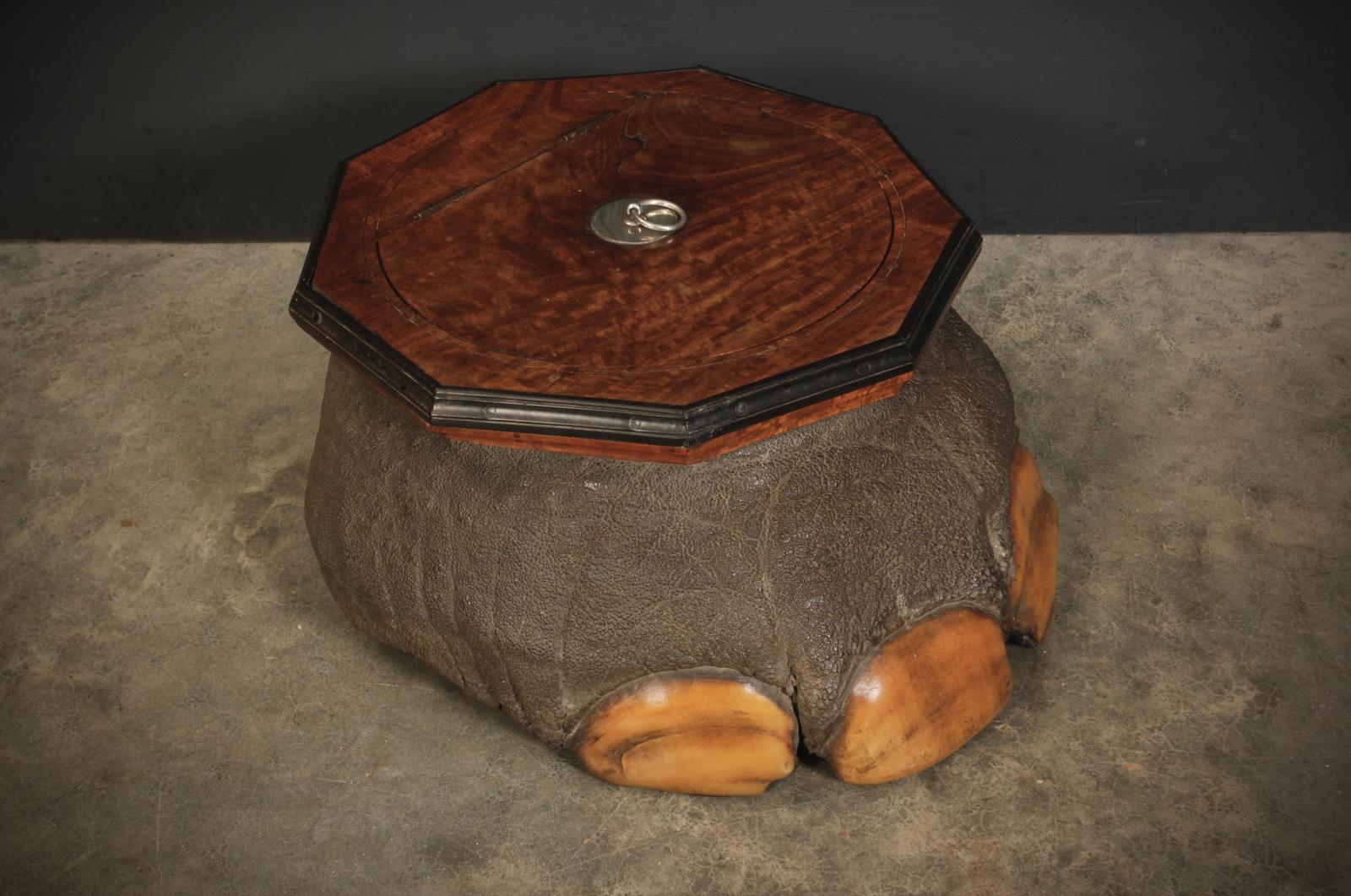 Ceylonese Satinwood & Ebony Mounted Elephant Foot Box (1 of 12)