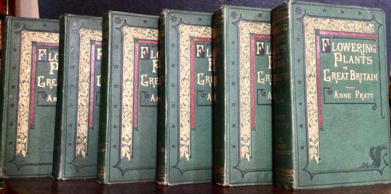 1873 Flowering Plants Grasses Sedges & Ferns of Britain by Anne Pratt 6 x Vols (1 of 5)