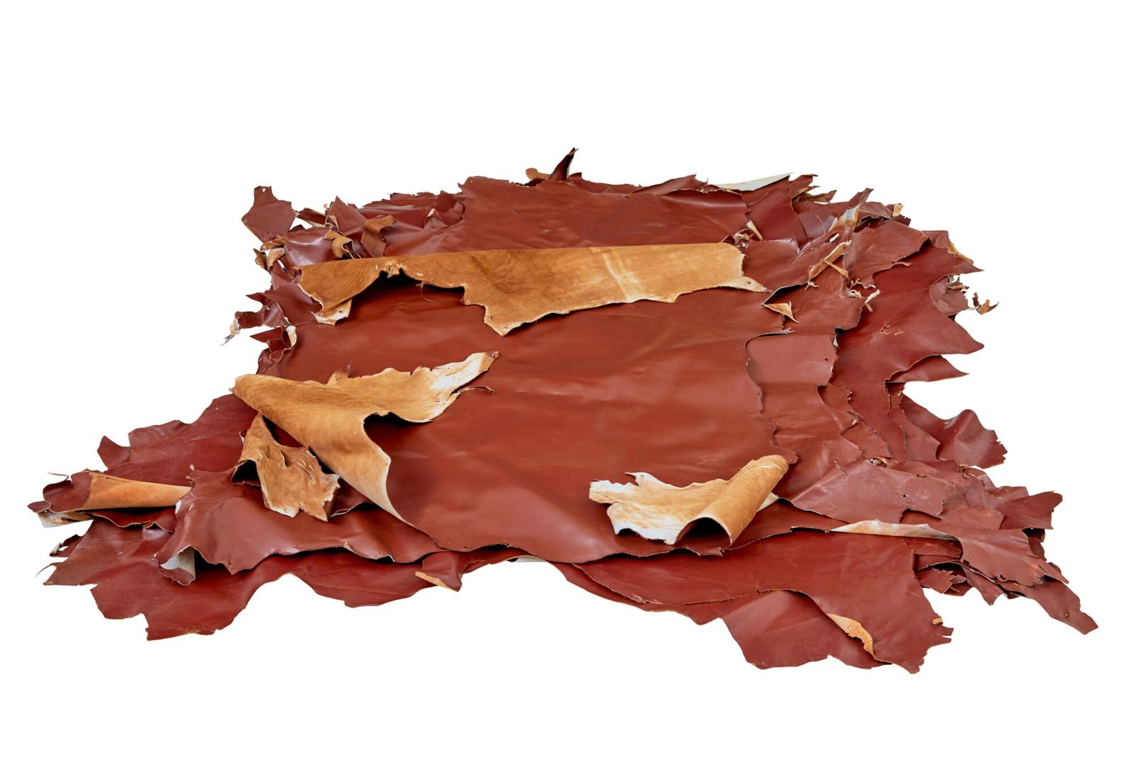 16 Cowhide’s For Upholstery Or Decoration (1 of 9)