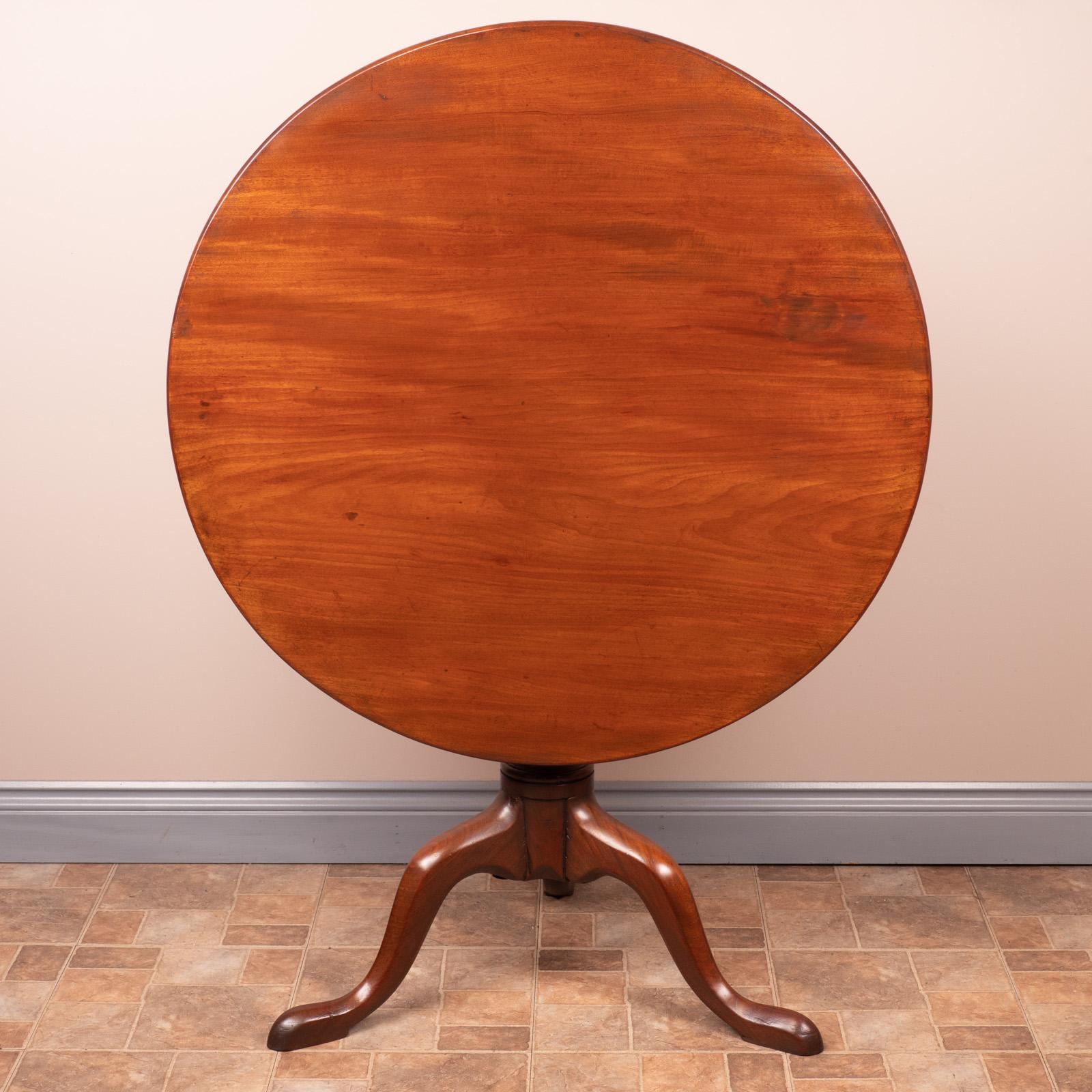 Georgian Mahogany Bird Cage Tip Up Table (1 of 15) Georgian Mahogany Bird Cage Tip Up Table (1 of 15)