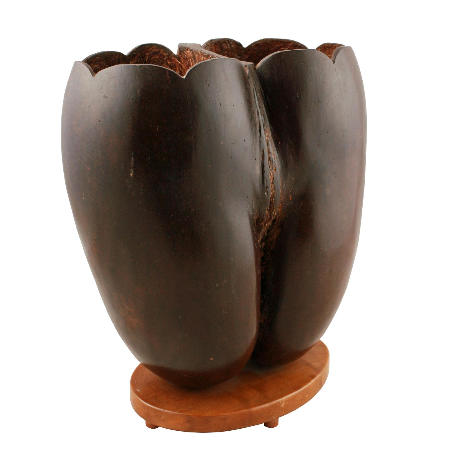 Coco de Mer on Stand (1 of 7)
