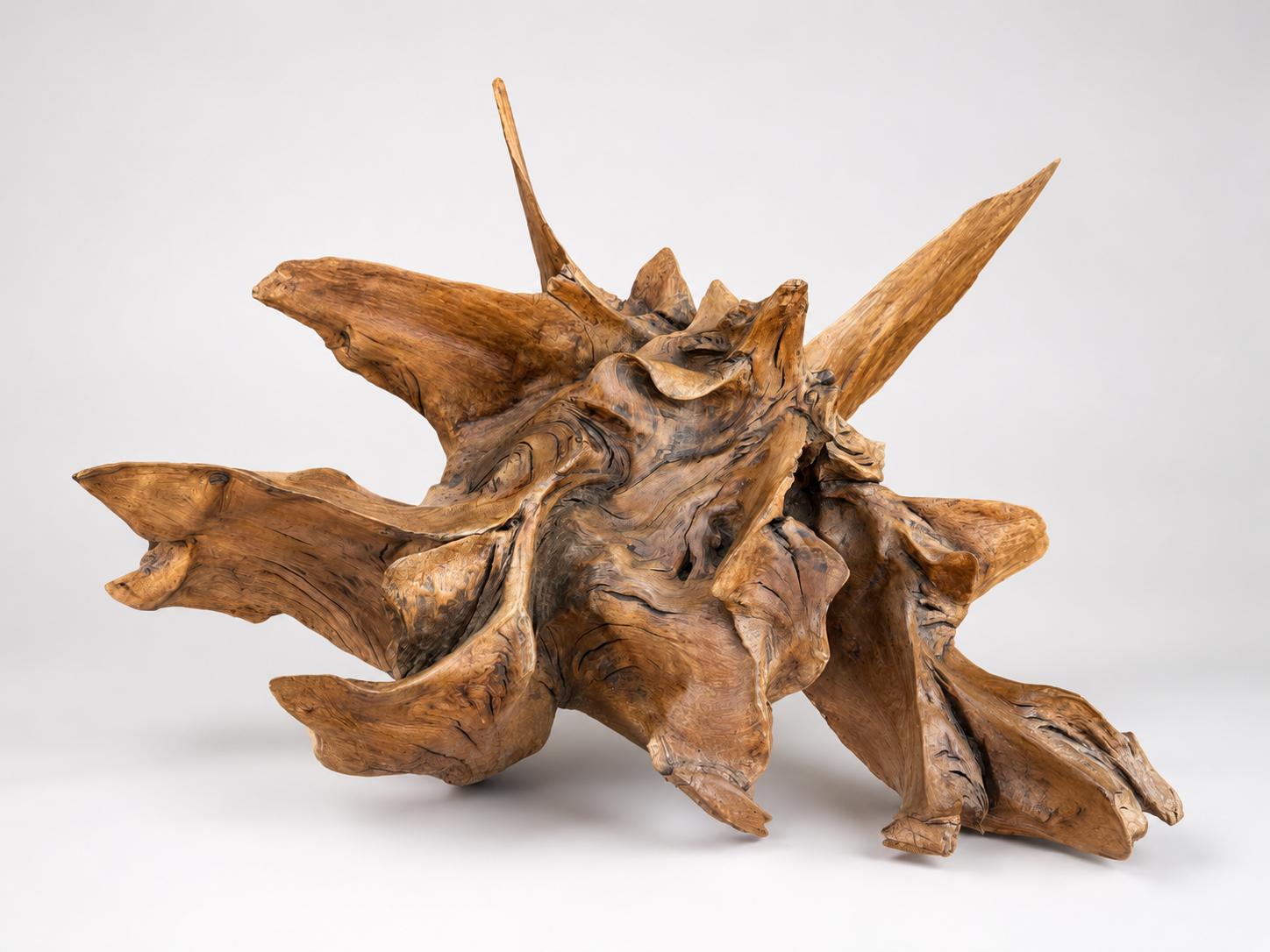 Massive Natural Root Sculpture Abstract Organic Wood Art (1 of 8) Massive Natural Root Sculpture Abstract Organic Wood Art (1 of 8)