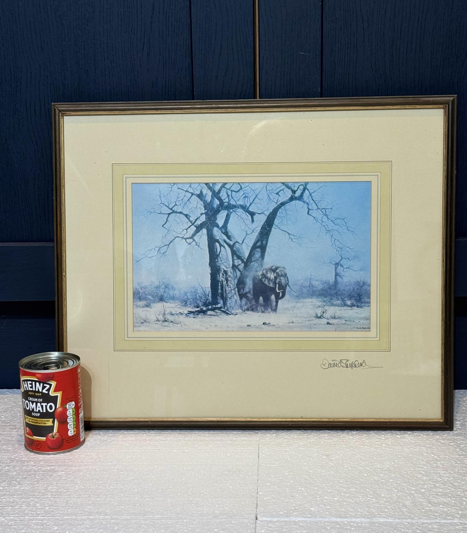David Shepard Print”old George Under His Favourite Baobab Tree” (1 of 7)