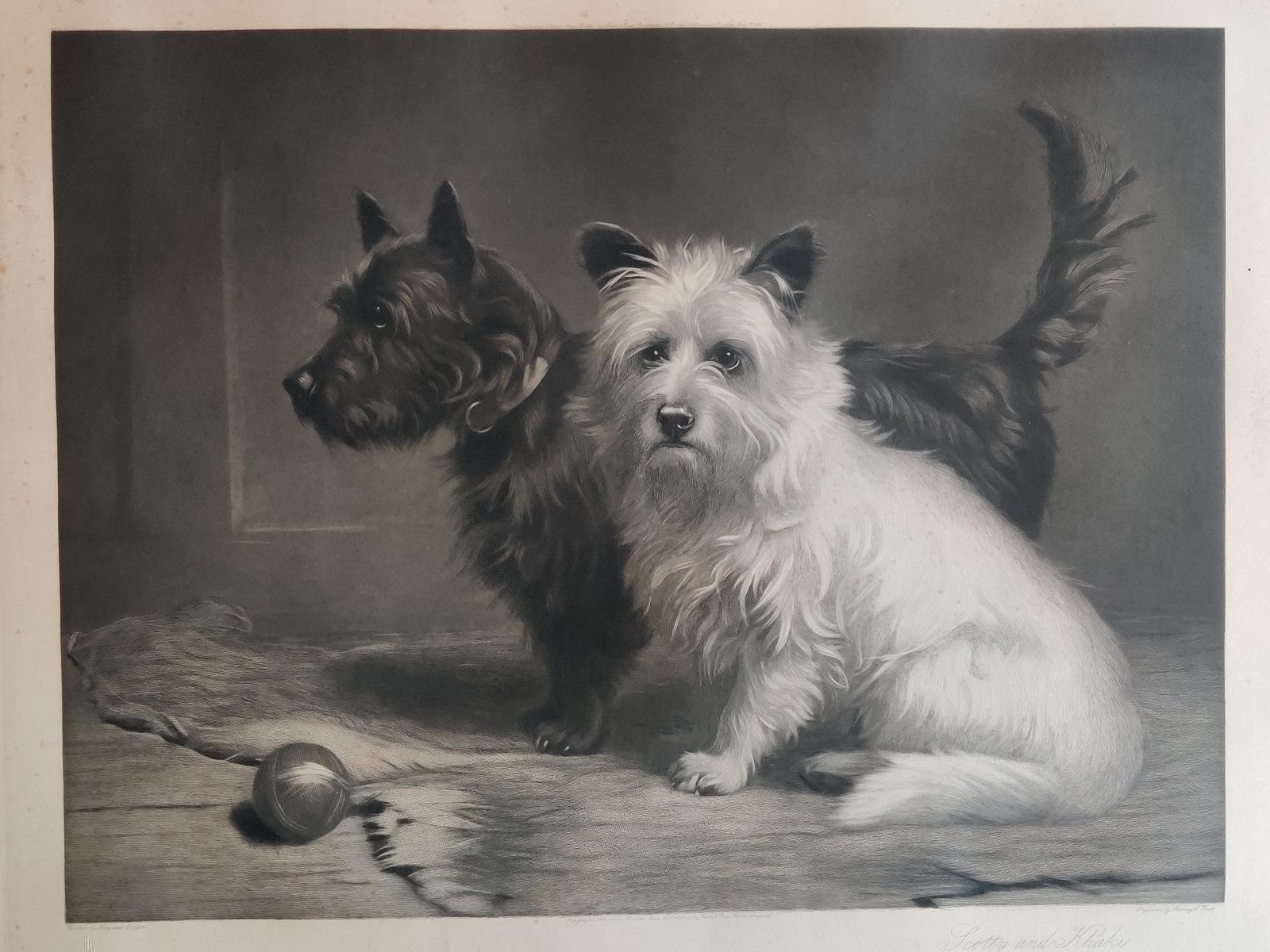 Cairn & West Highland Terrier - Engraving (1 of 9) Cairn & West Highland Terrier - Engraving (1 of 9)