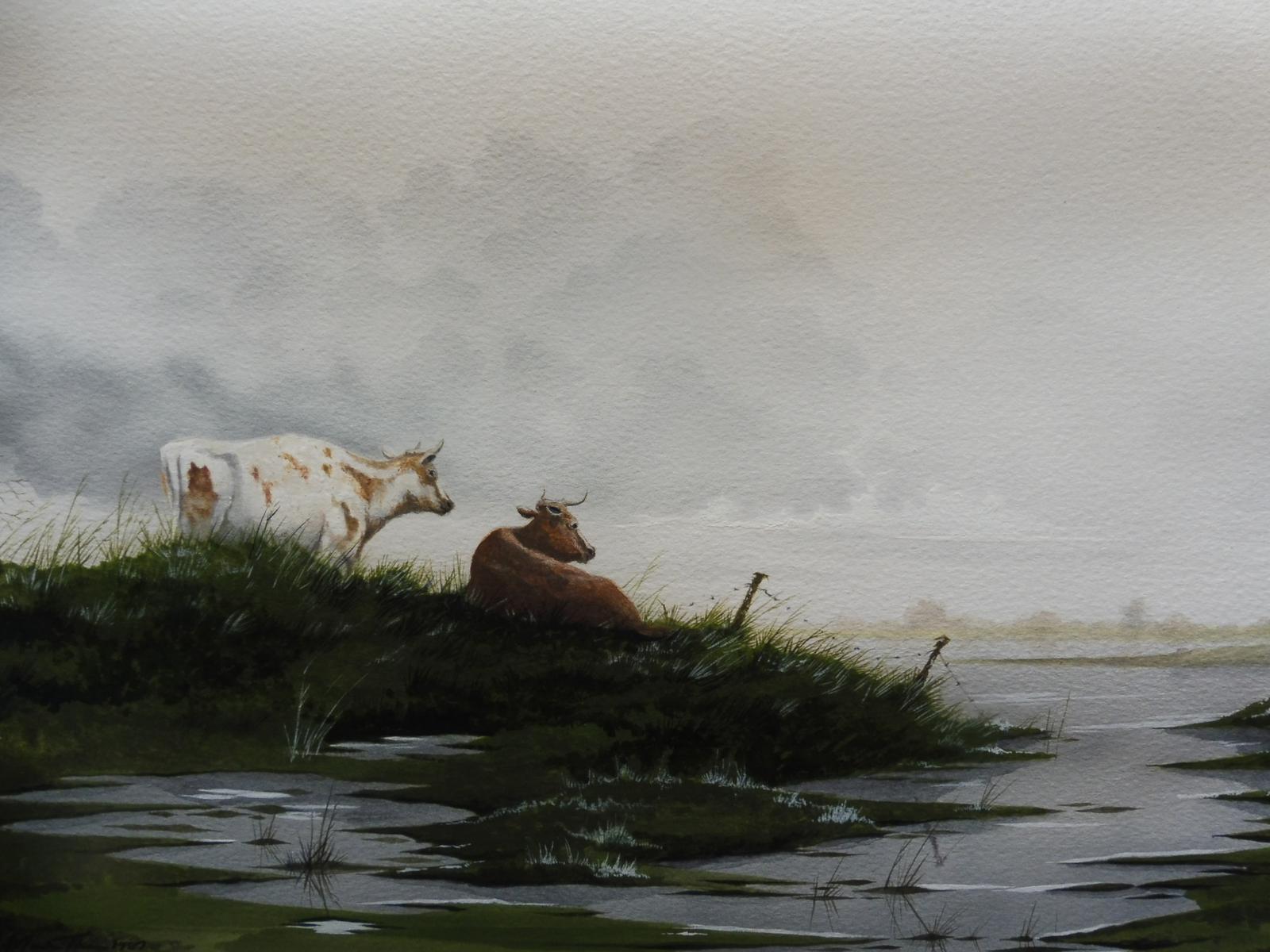 Watercolour Cattle by the Lochside at Dusk Artist Martin Tanner (1 of 12)