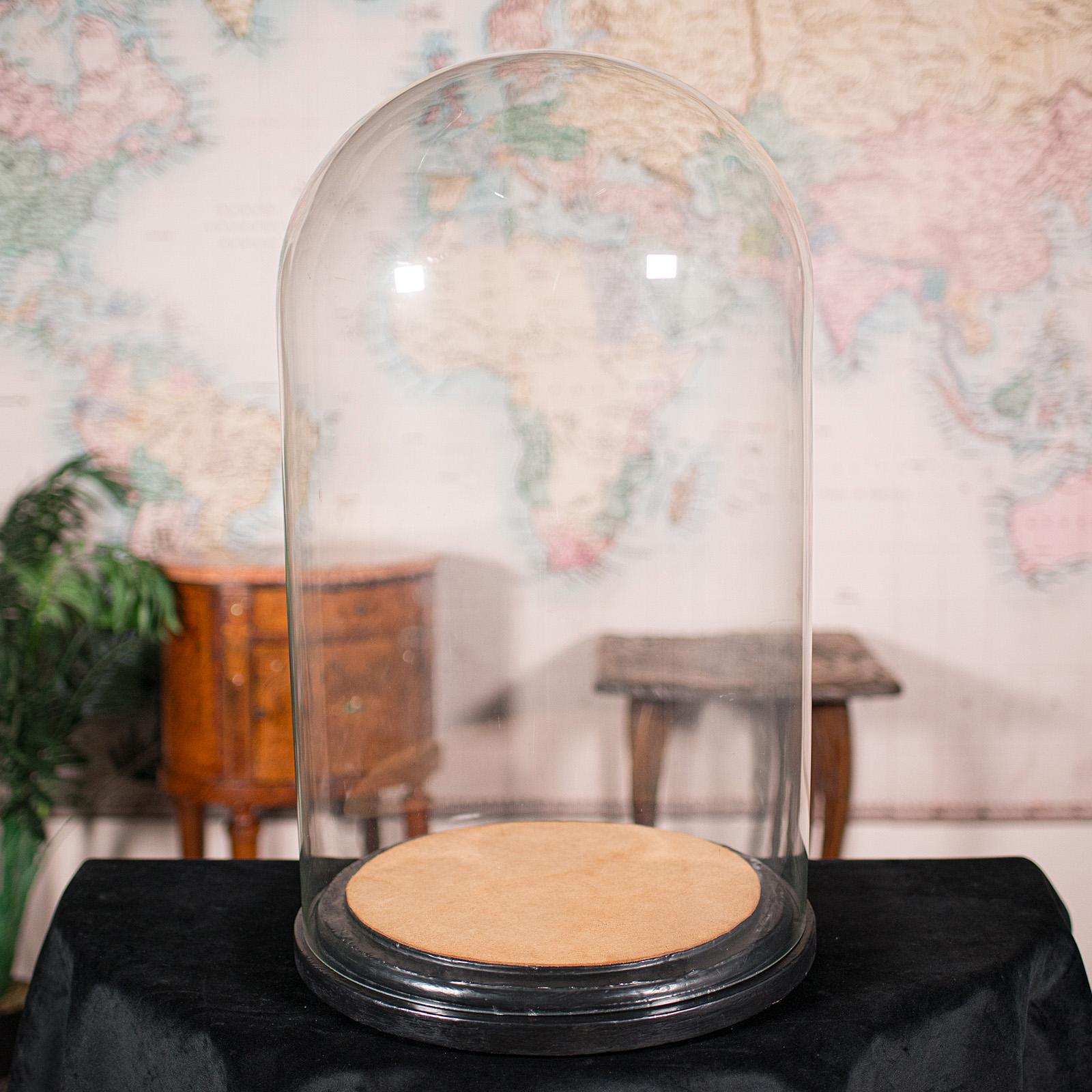 Large Antique Display Dome, English, Glass, Taxidermy Showcase - Victorian c.1850 (1 of 10) Large Antique Display Dome, English, Glass, Taxidermy Showcase - Victorian c.1850 (1 of 10)