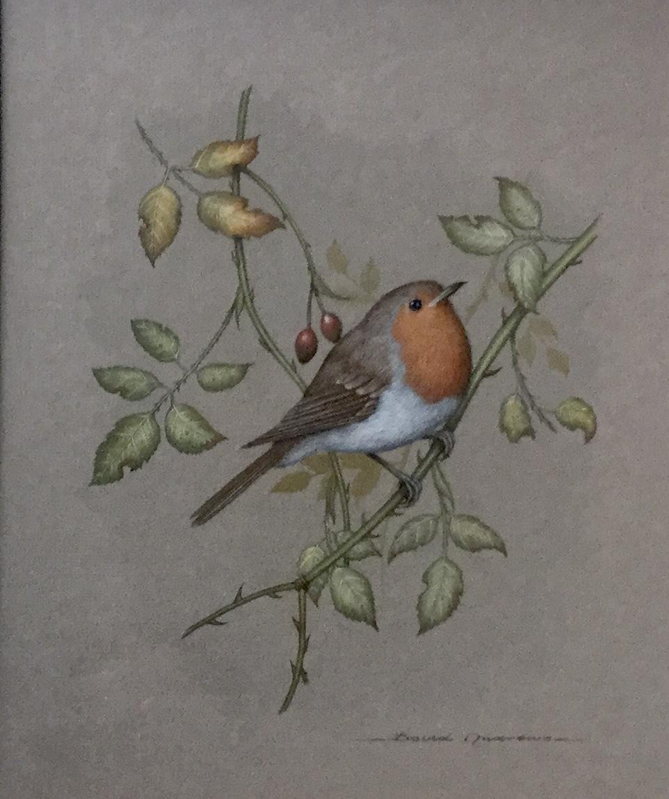 David Andrews Watercolour - Robin Perched on Leafy Branch (1 of 2)