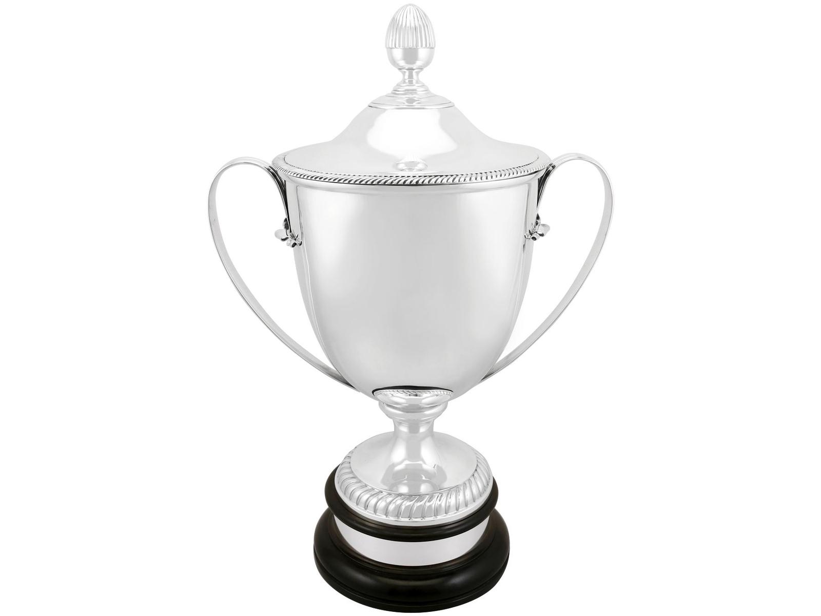 Sterling Silver Presentation Cup & Cover - Antique Edwardian 1909 (1 of 15)