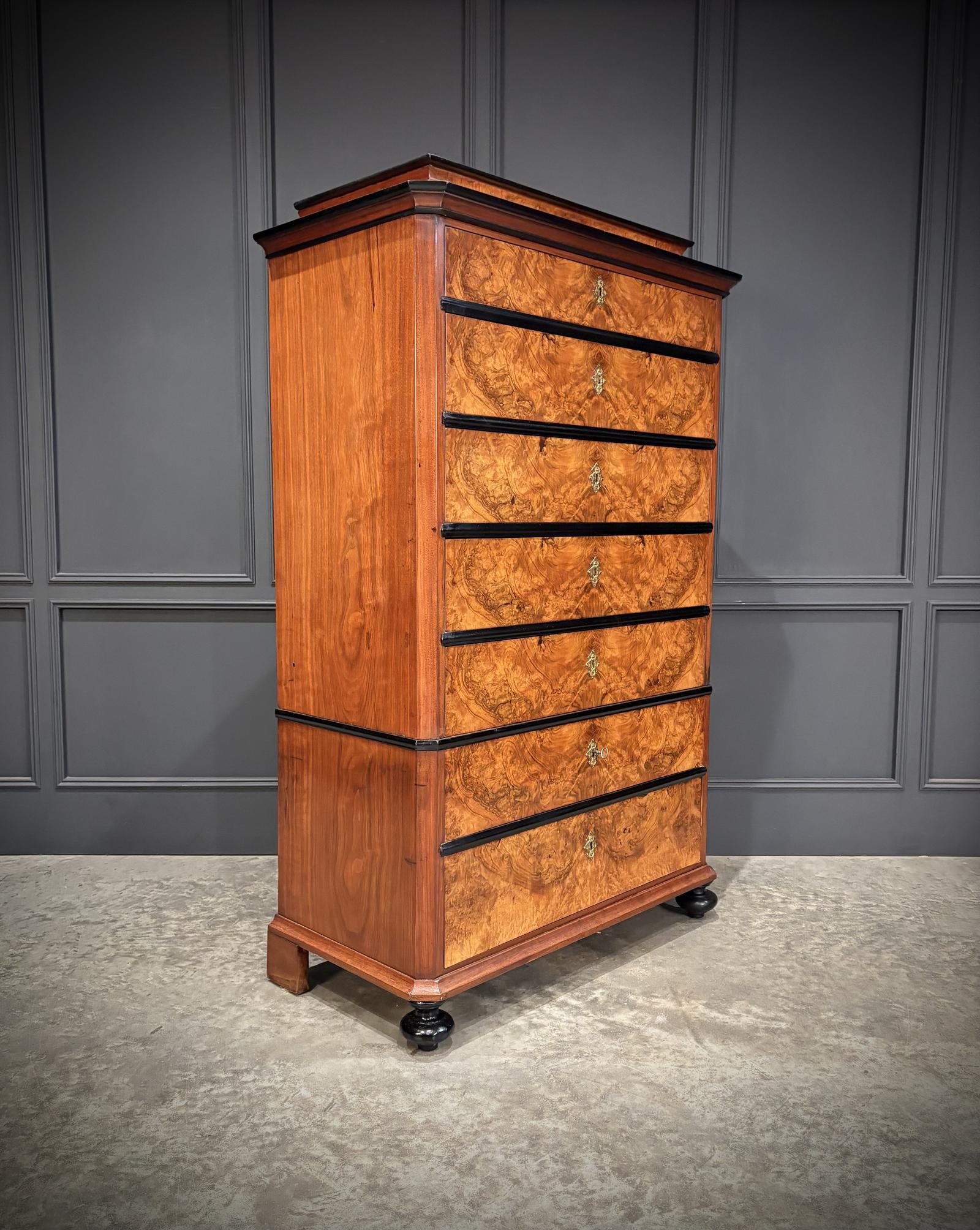 19th Century Walnut Tall Chest of Drawers (1 of 9)