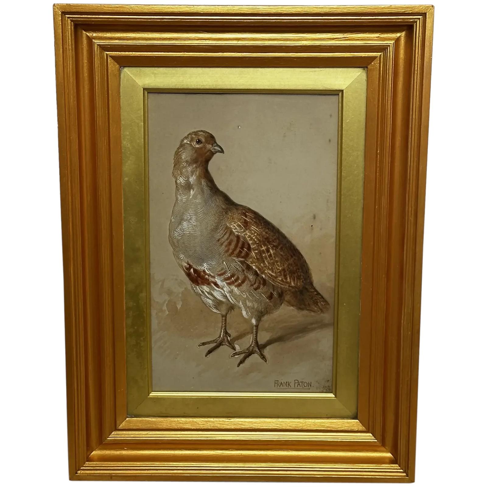 19th Century Watercolour Partridge Game Bird by Frank Paton (1 of 41)