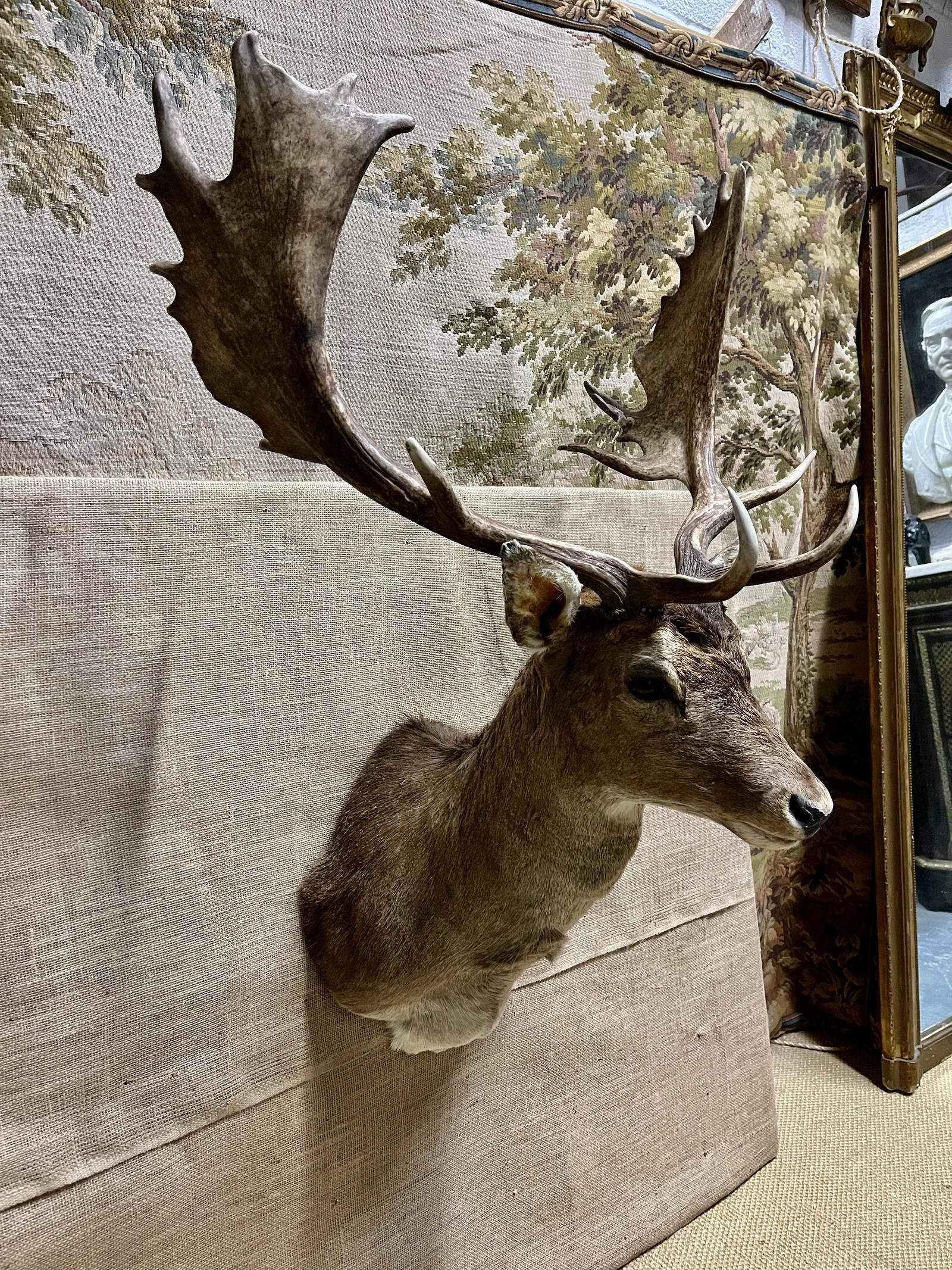 Item Main Image Item Main Image