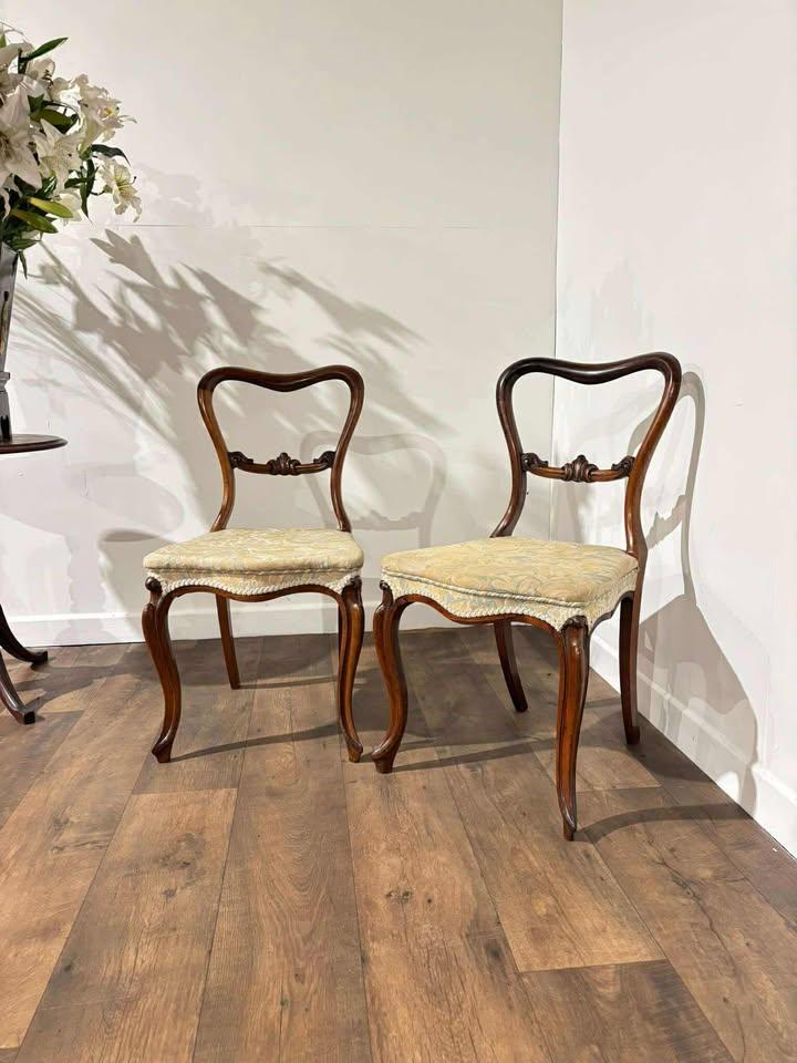 Pair of Victorian Mahogany Balloon Back Chairs (1 of 16) Pair of Victorian Mahogany Balloon Back Chairs (1 of 16)