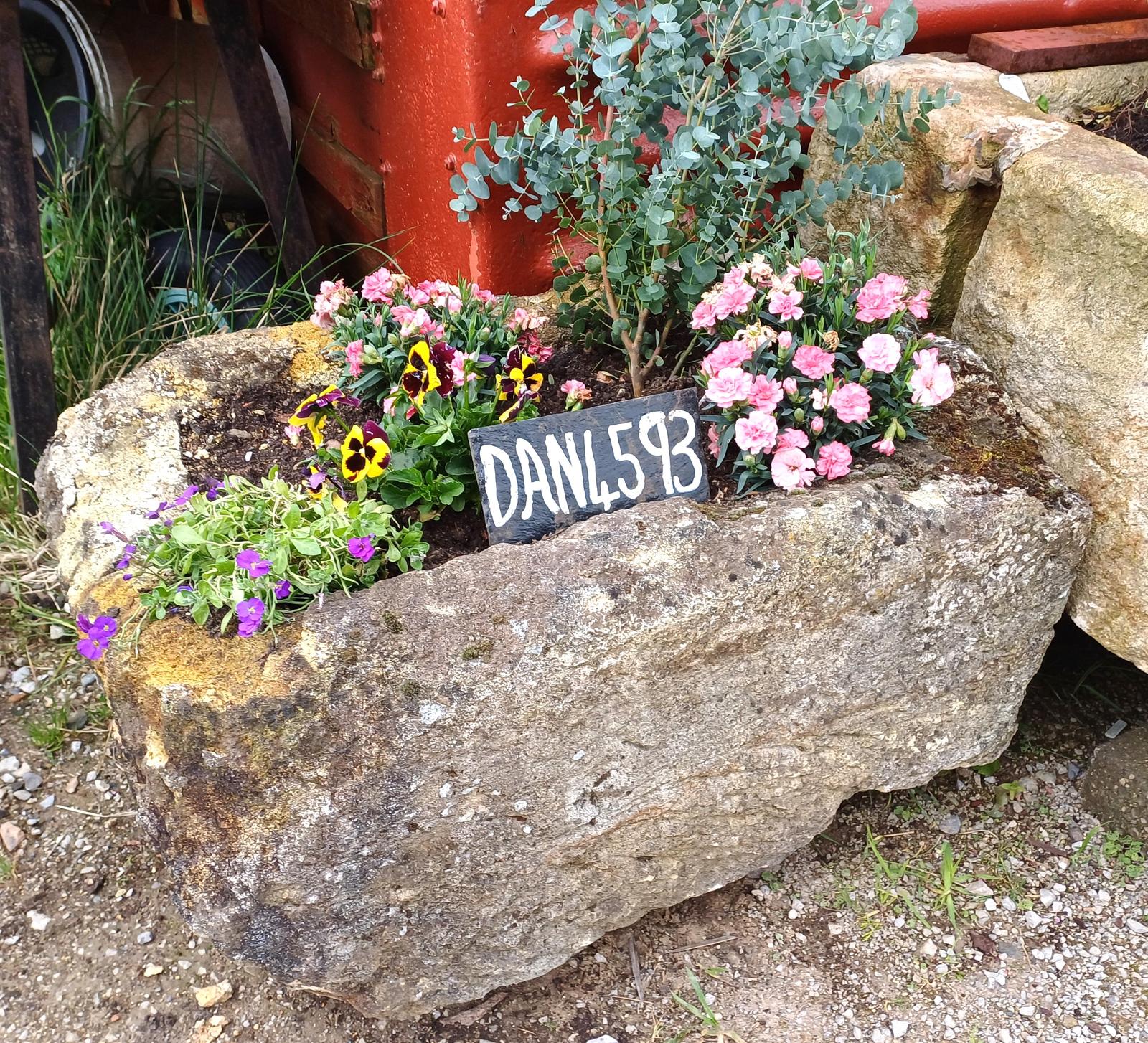 Old Yorkshire Stone Trough or Garden Planter (1 of 1)
