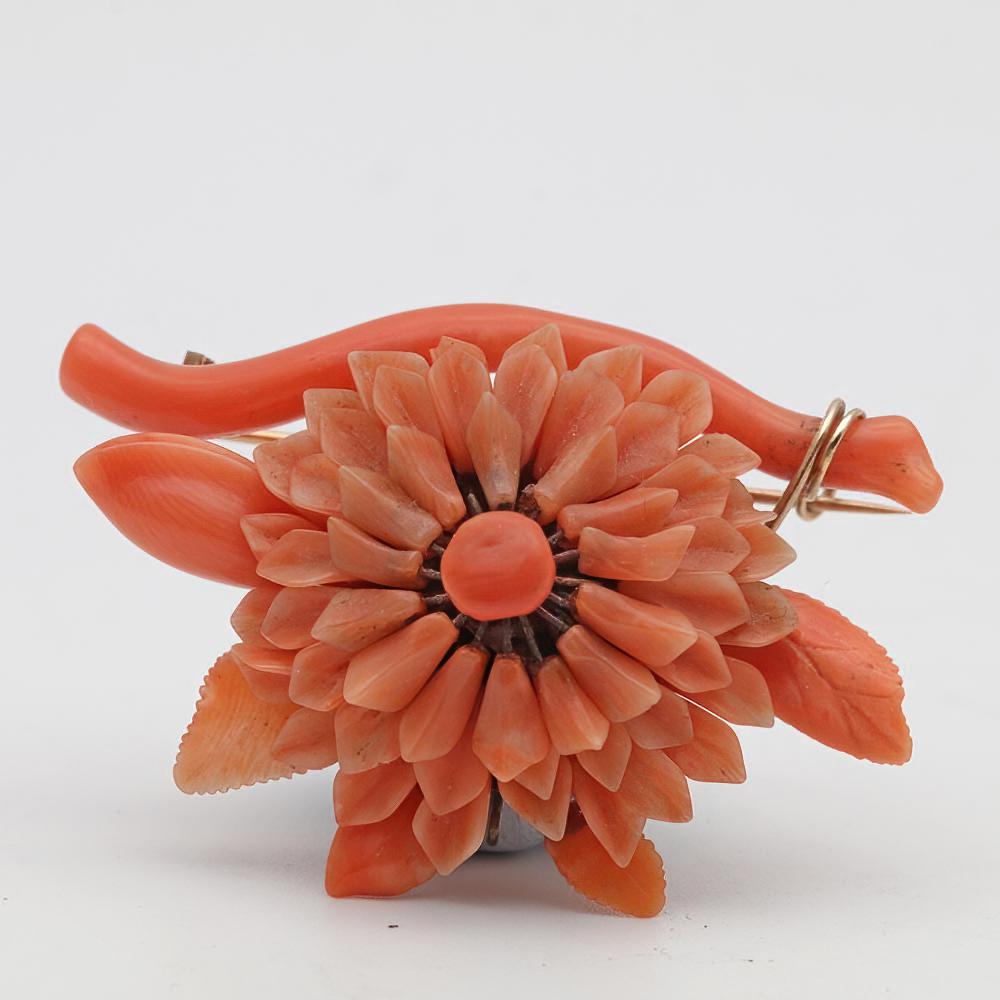 Antique Carved Natural Coral Brooch (1 of 1)