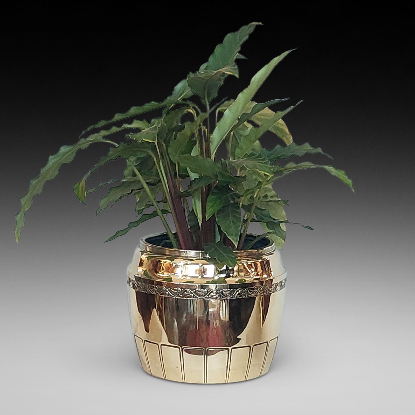 Early 20thc Aesthetic French Jardinière (1 of 7)