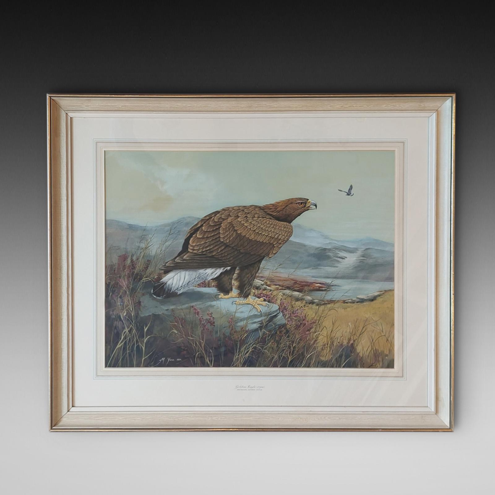 Michael James Yule - Golden Eaglet (1 of 5)