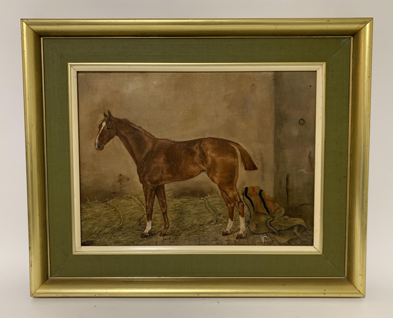 Oil on Canvas Portrait of a Horse (1 of 9) Oil on Canvas Portrait of a Horse (1 of 9)