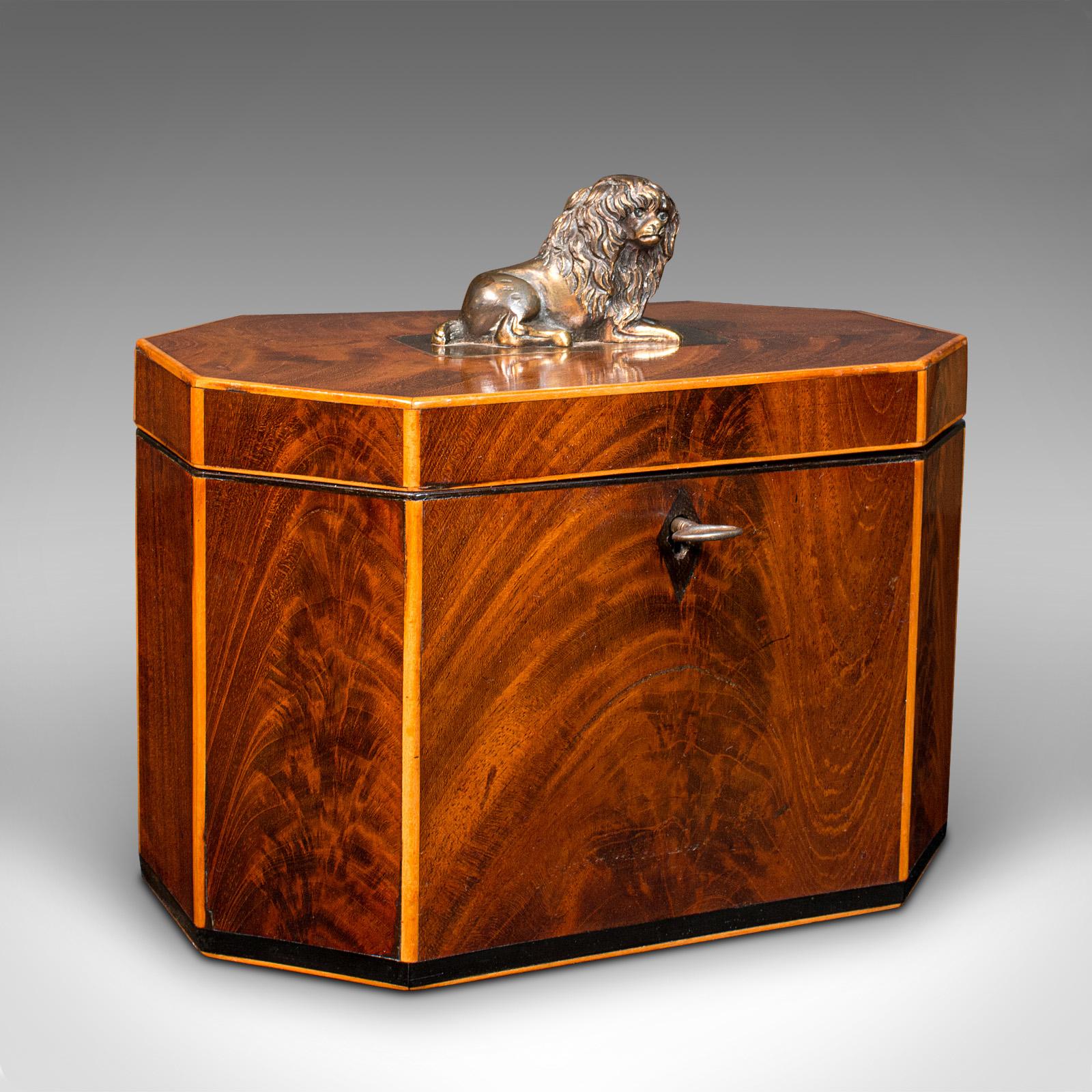 Antique Decorative Tea Caddy, English, Keepsake Box, Figurative, Lion, Regency (1 of 12) Antique Decorative Tea Caddy, English, Keepsake Box, Figurative, Lion, Regency (1 of 12)