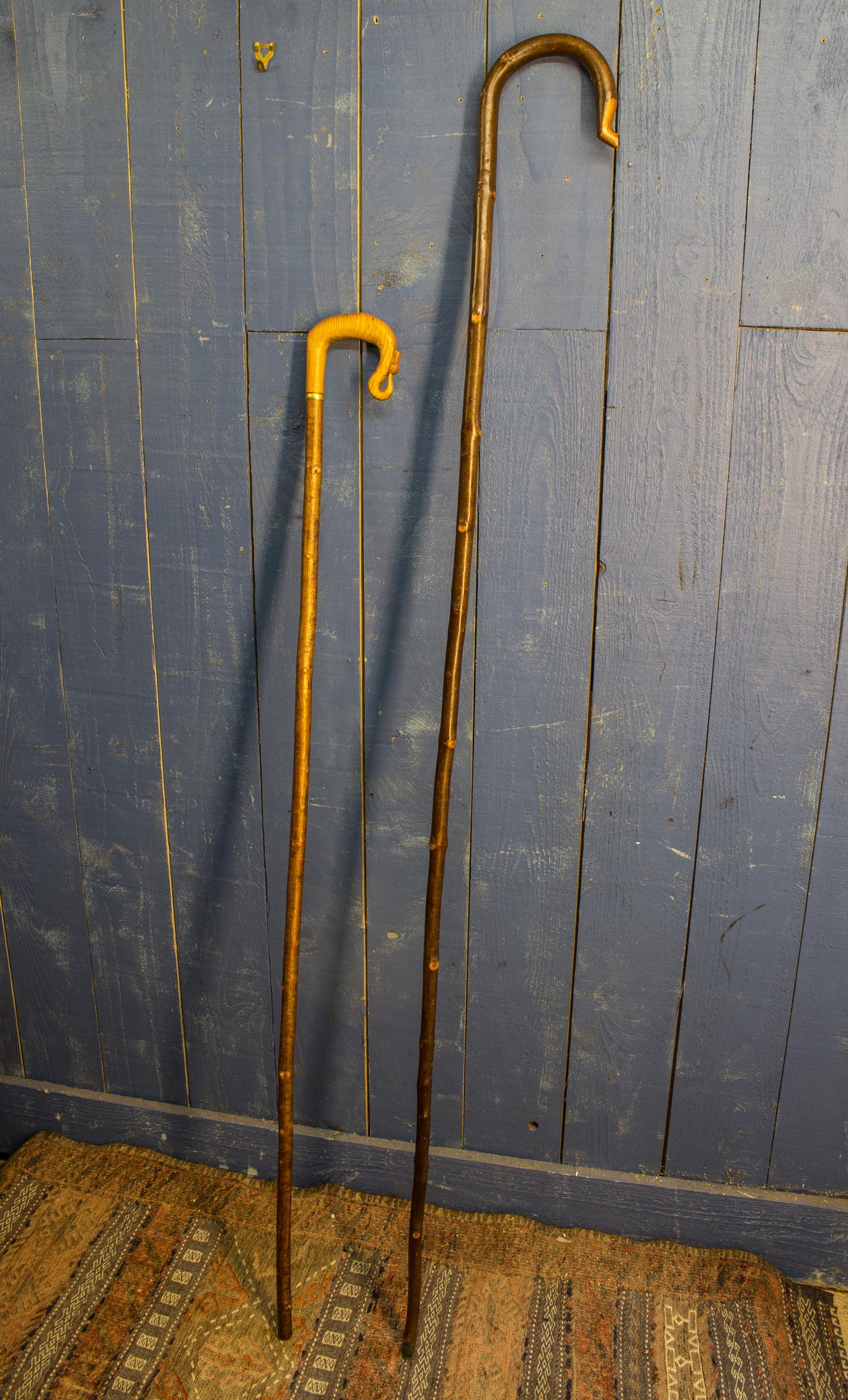 2 Shepherds Crooks (1 of 7)