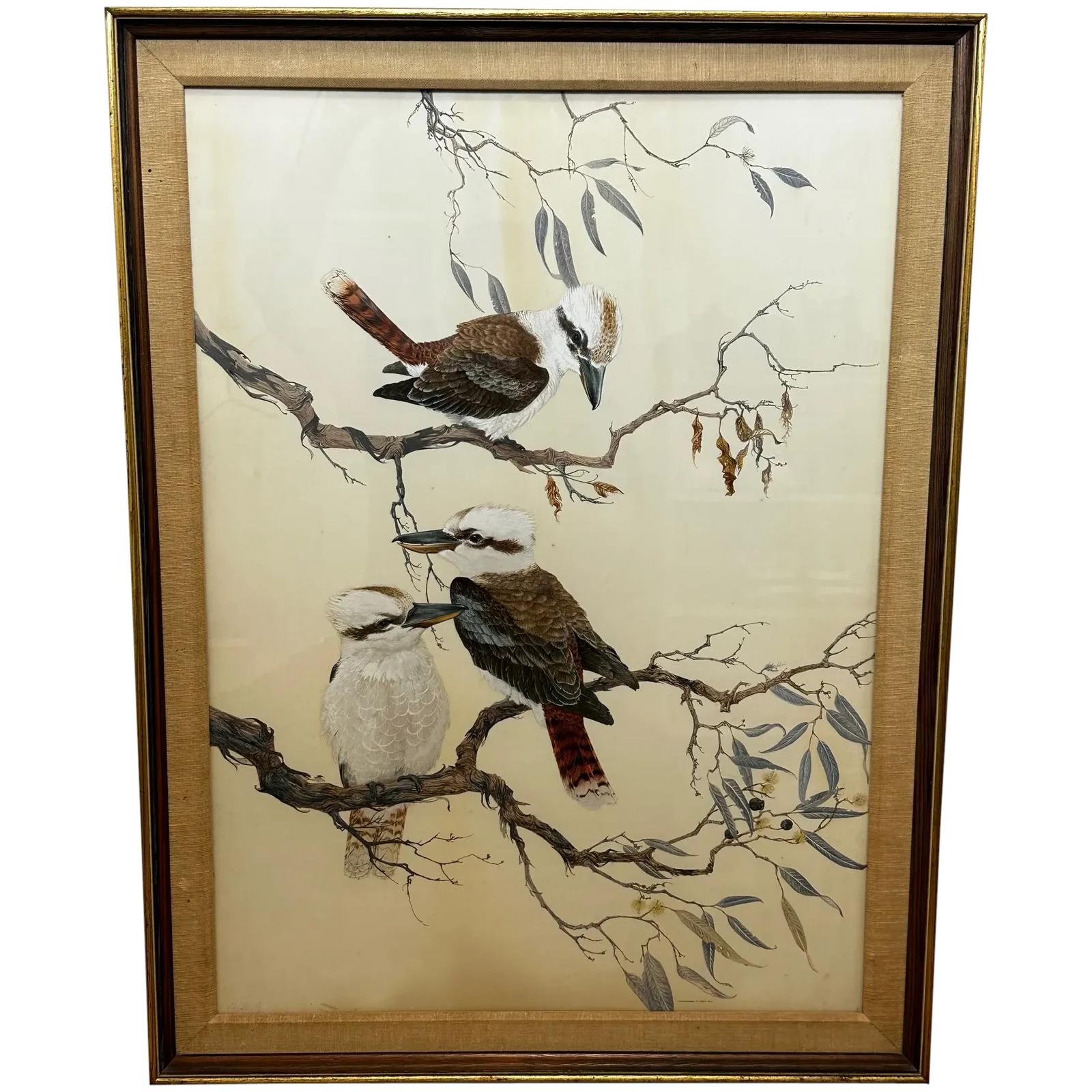 Australian Watercolour Group 3 Kookaburras Bird in Bush Outback Signed Robin Hill (1 of 46)