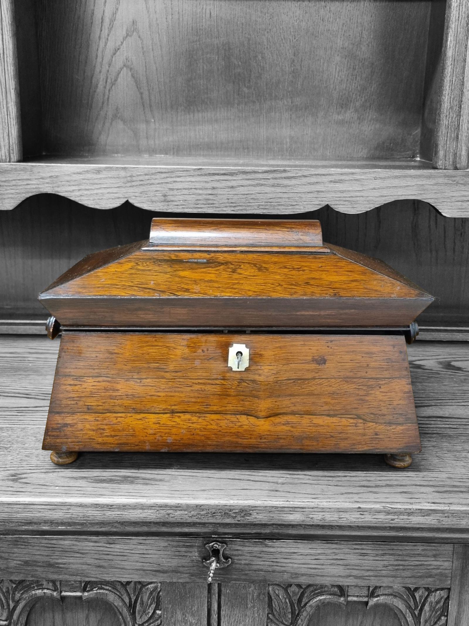 Antique Victorian Tea Caddy Box / c.1880 (1 of 10)