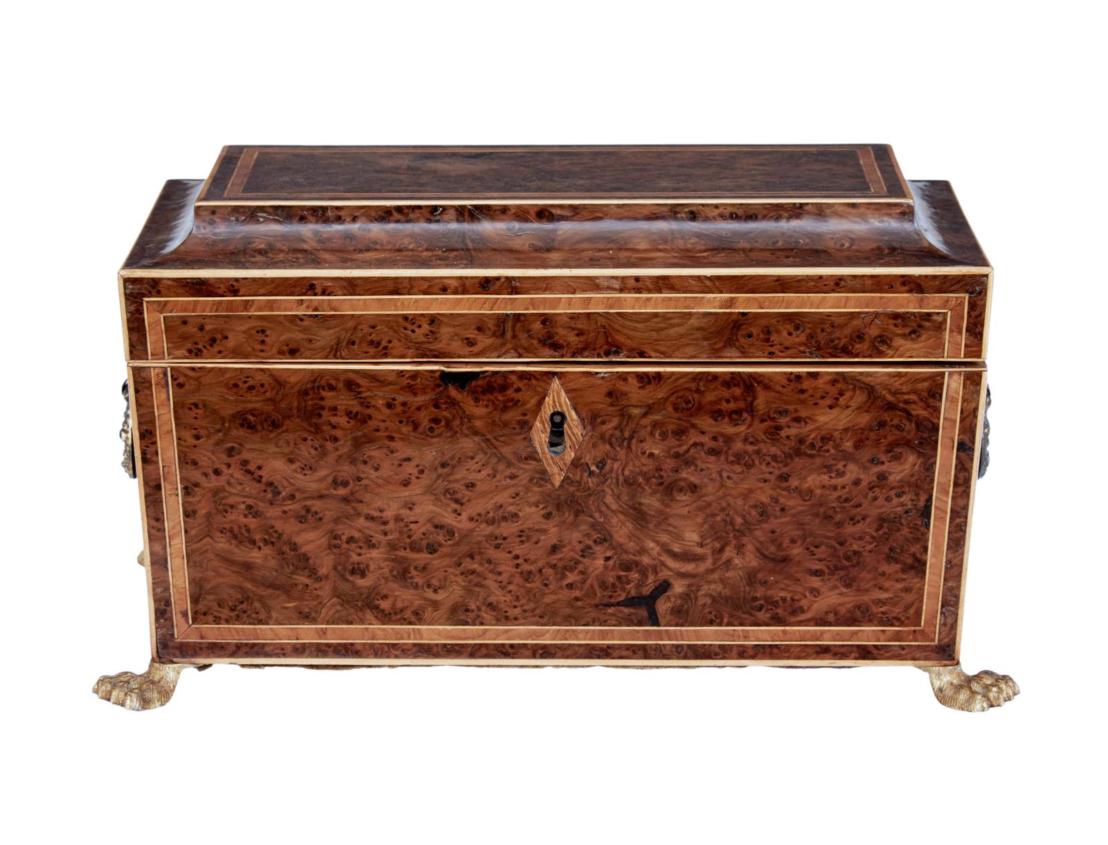 Early 19th Century Regency Burr Yew Tea Caddy (1 of 8)