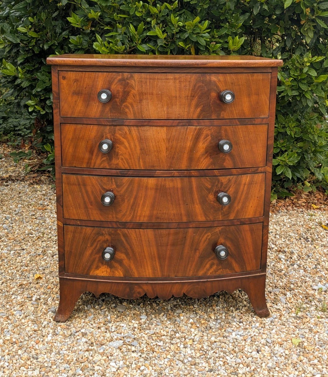 Neat Regency Bow Front Mahogany Chest of Drawers (1 of 9)