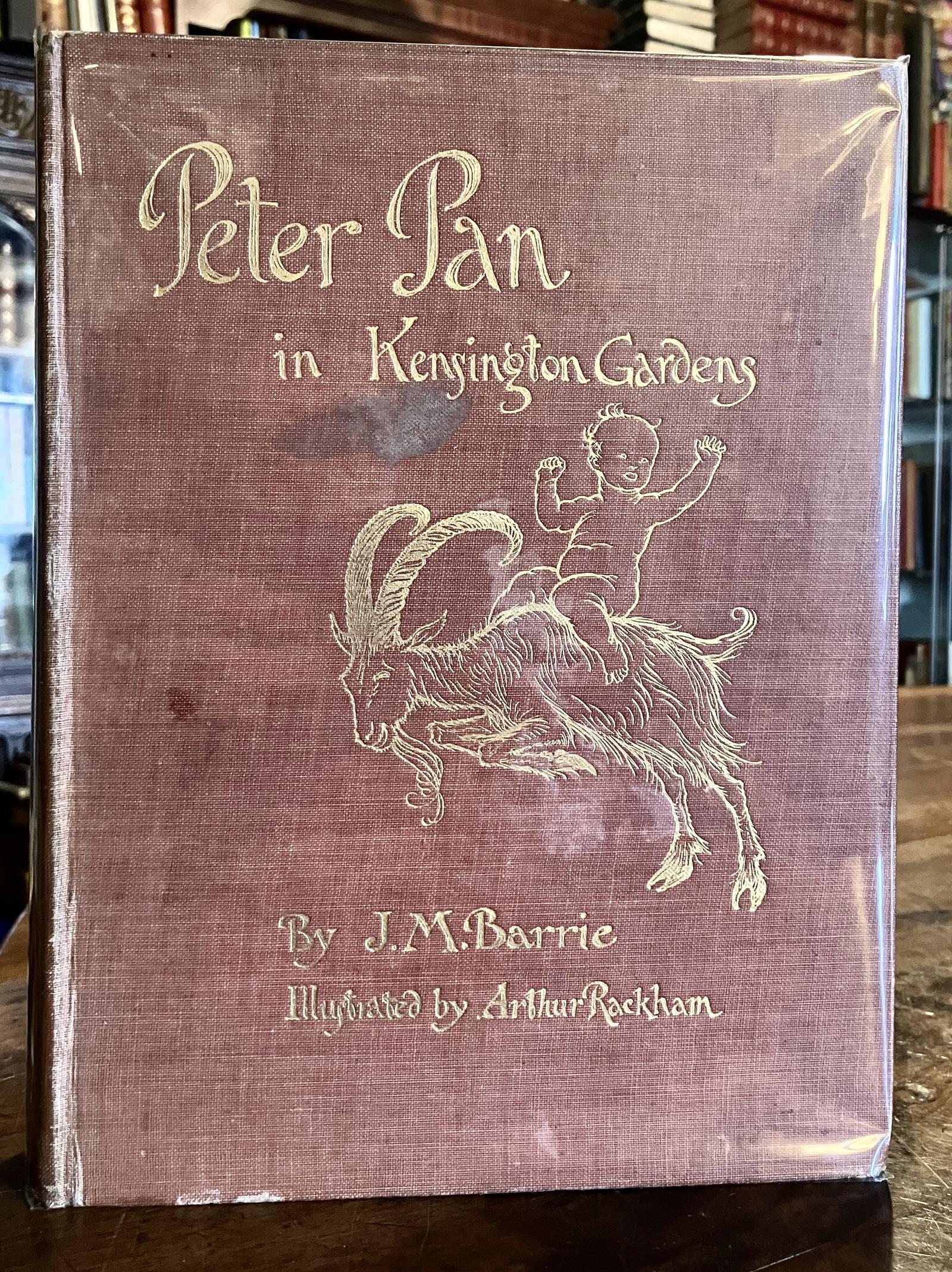 1908 Peter Pan in Kensington Gardens by J M Barrie 50 x Arthur Rackham Plates (1 of 5)